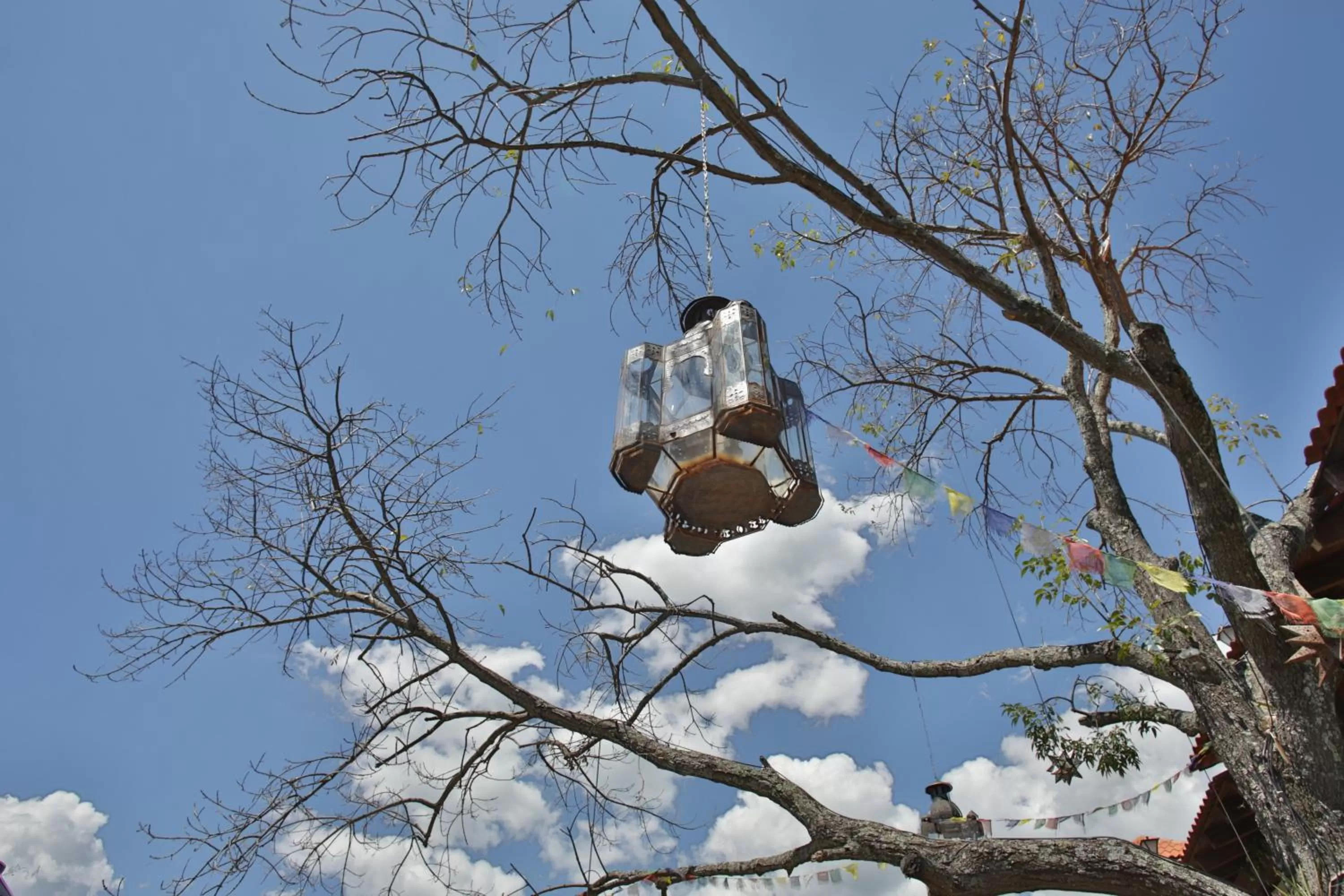 Winter in Hotel Villa Cassis