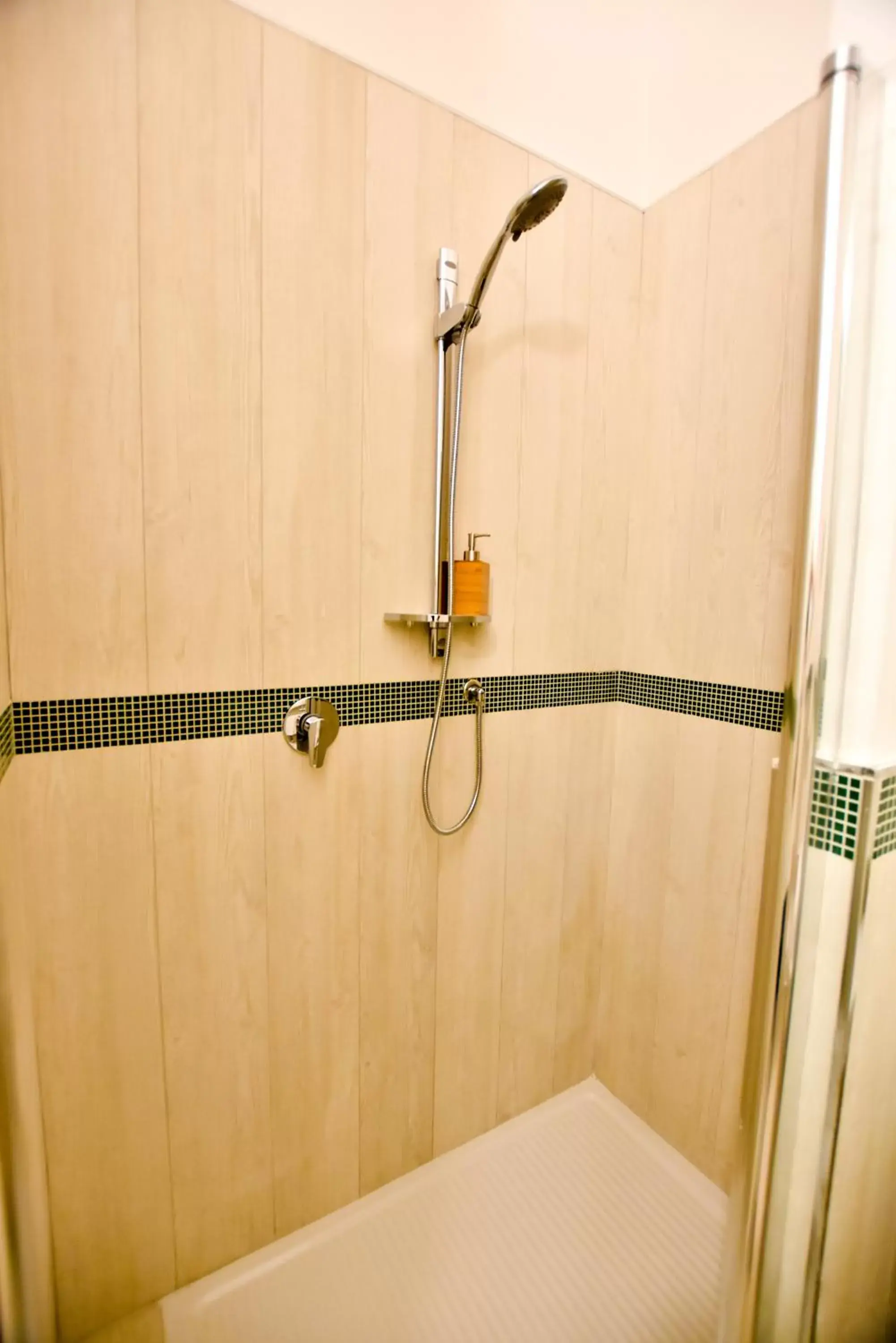 Shower, Bathroom in Domus Borbonica