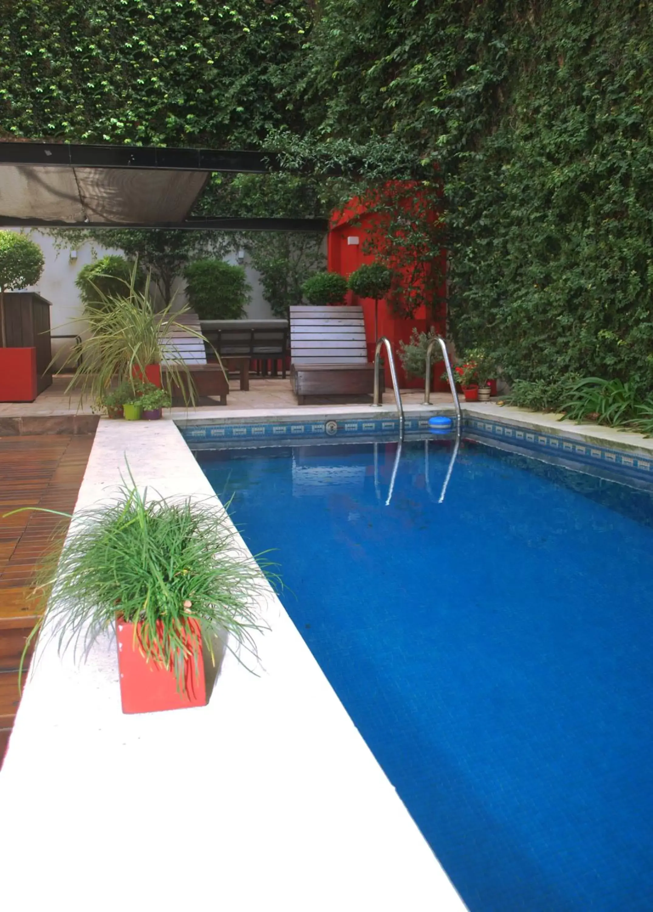 Garden, Swimming Pool in Ribera Sur Hotel