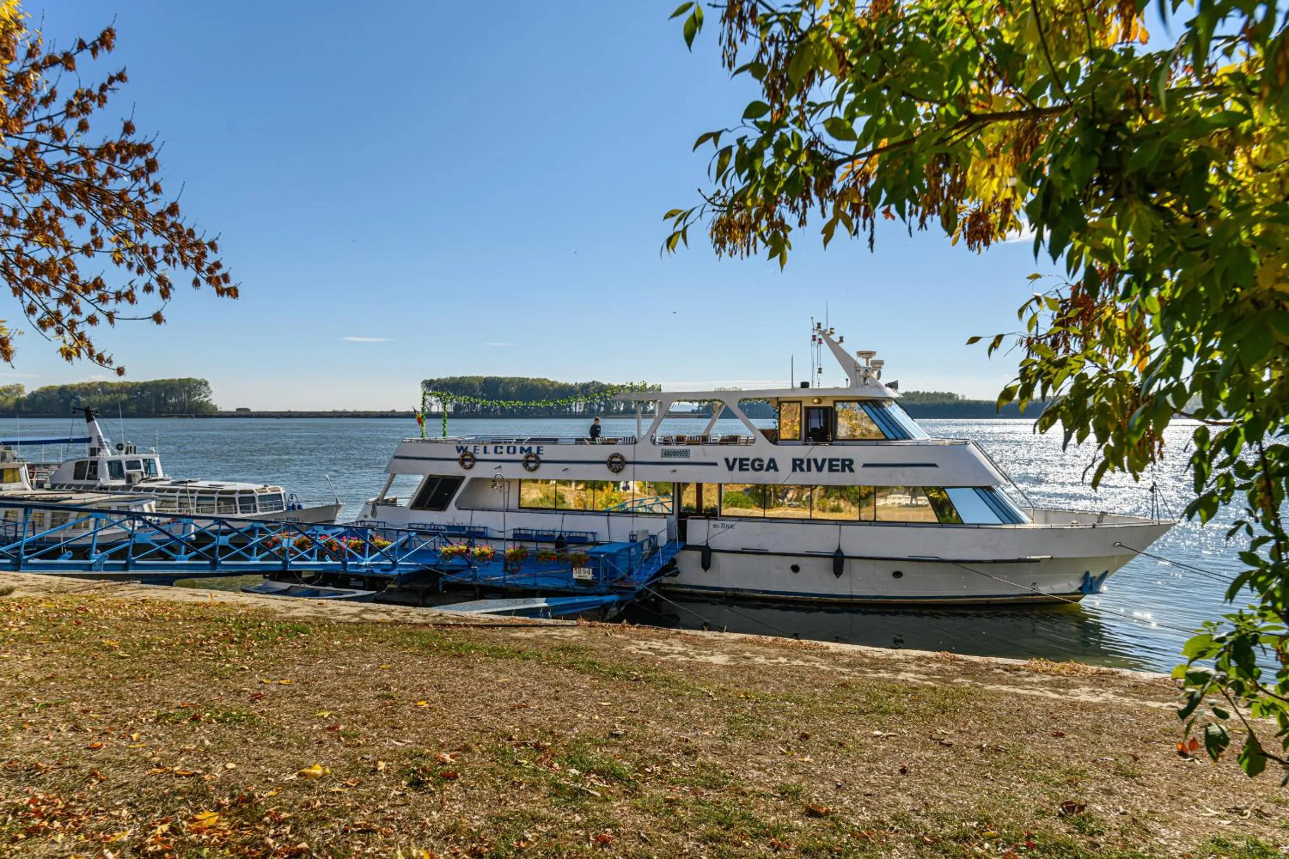 Entertainment in Vega Hotel