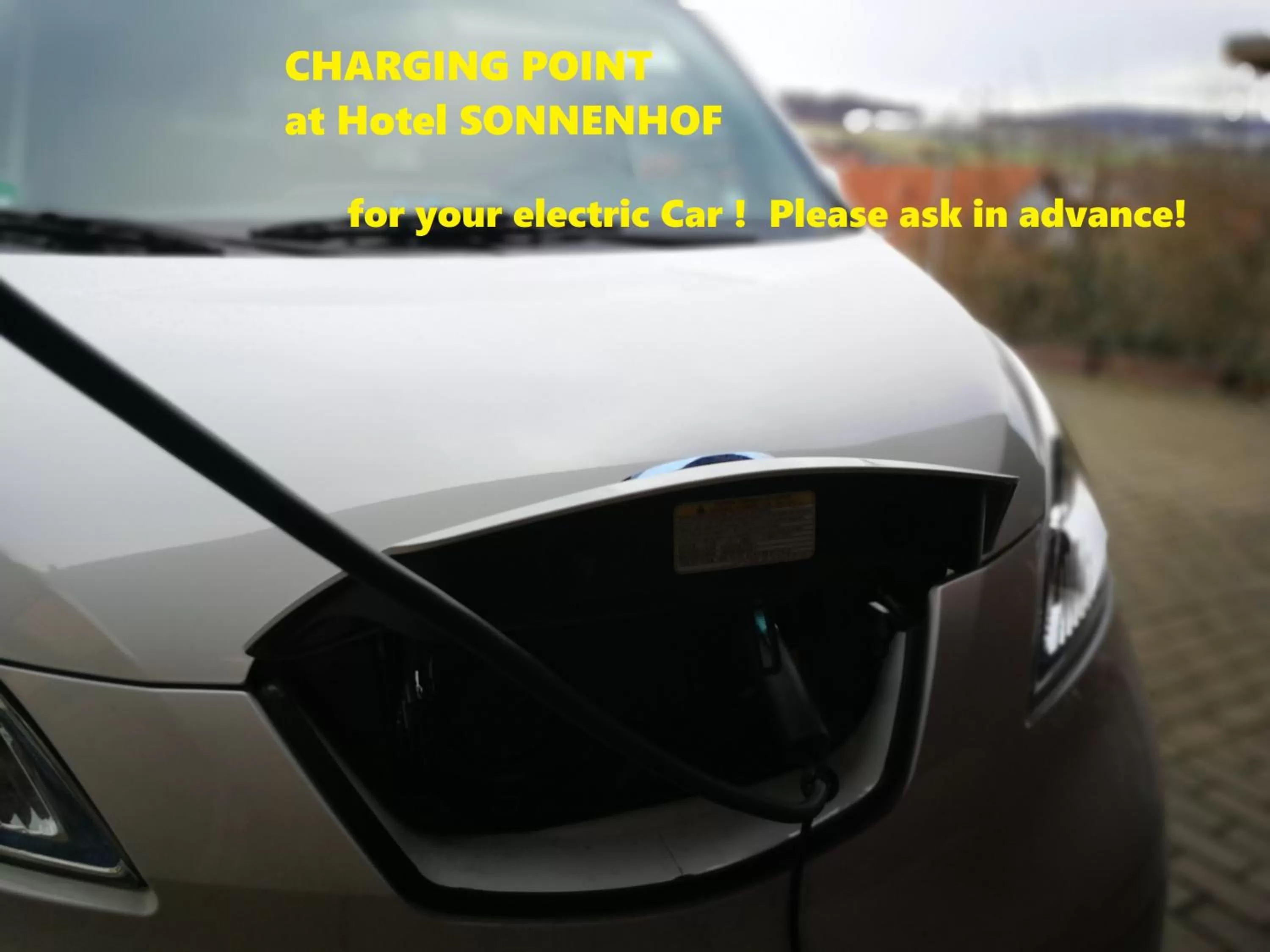 Activities in Sonnenhof