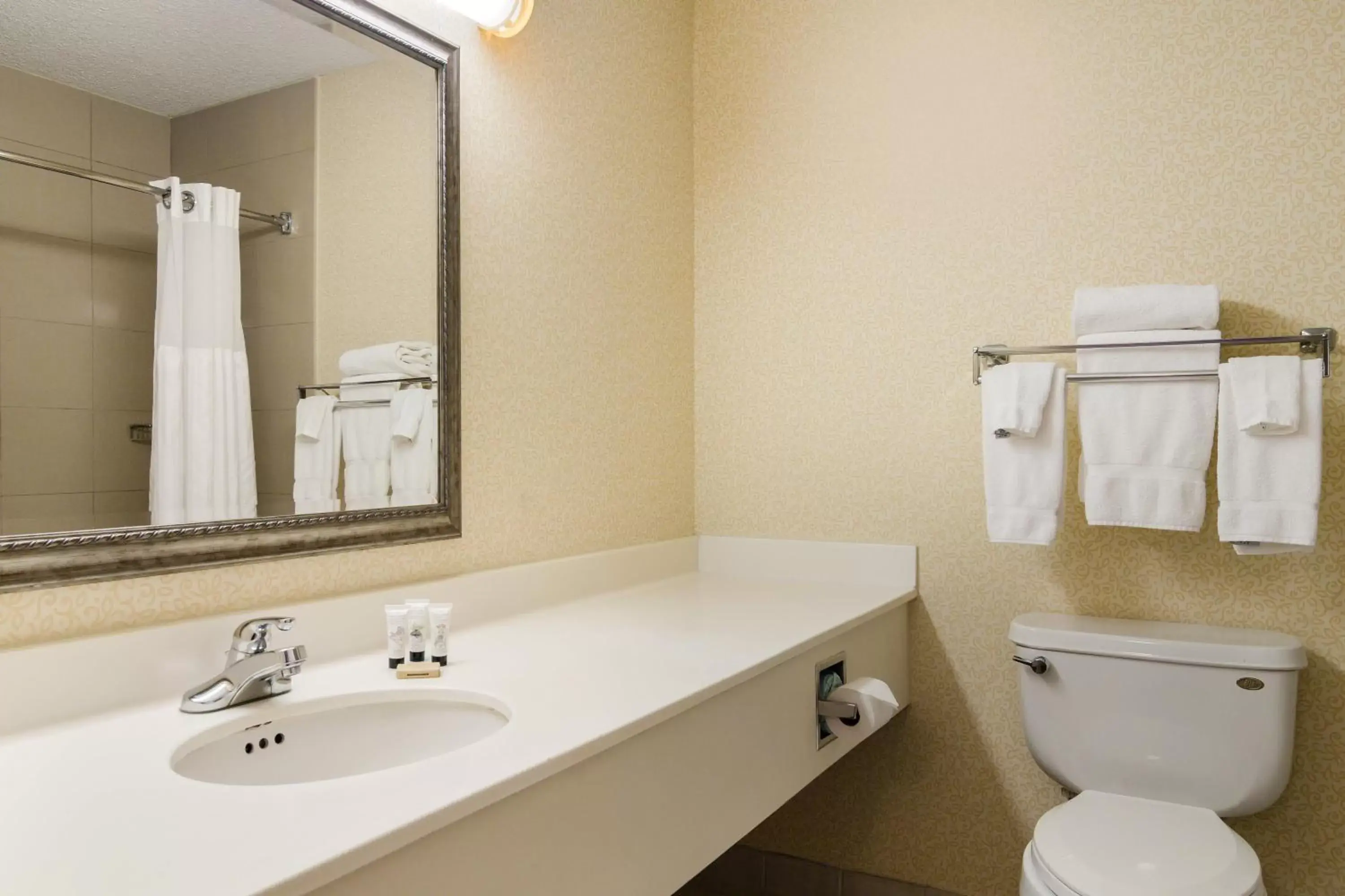 Bathroom in Red Lion Hotel Cheyenne