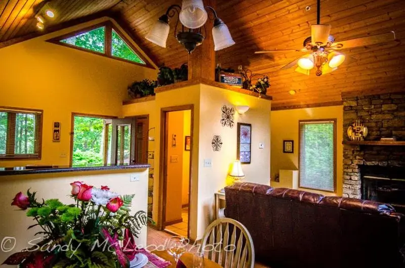 Living room, Lobby/Reception in Asheville Cabins of Willow Winds