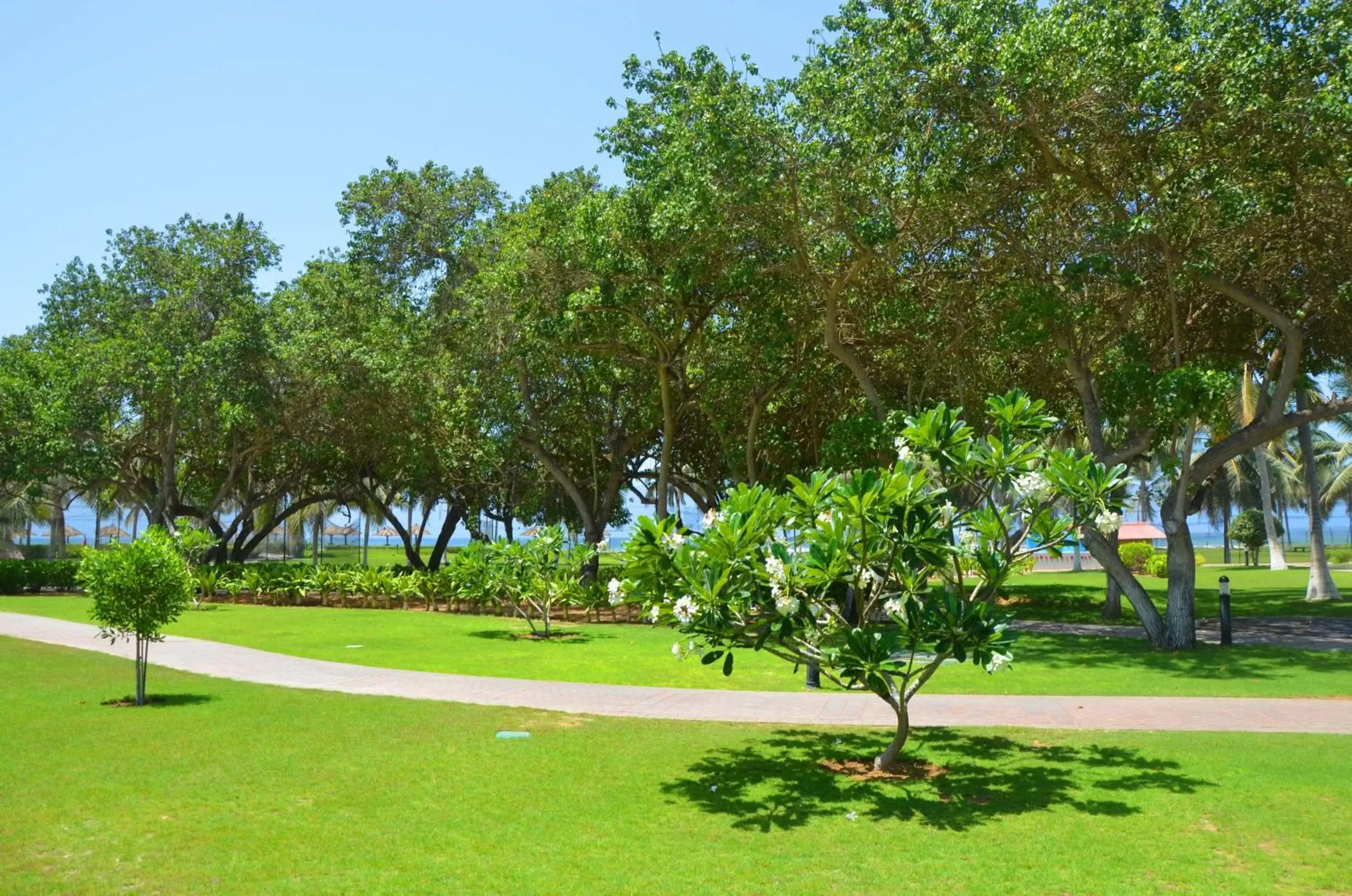 Other, Garden in Crowne Plaza Resort Salalah, an IHG Hotel