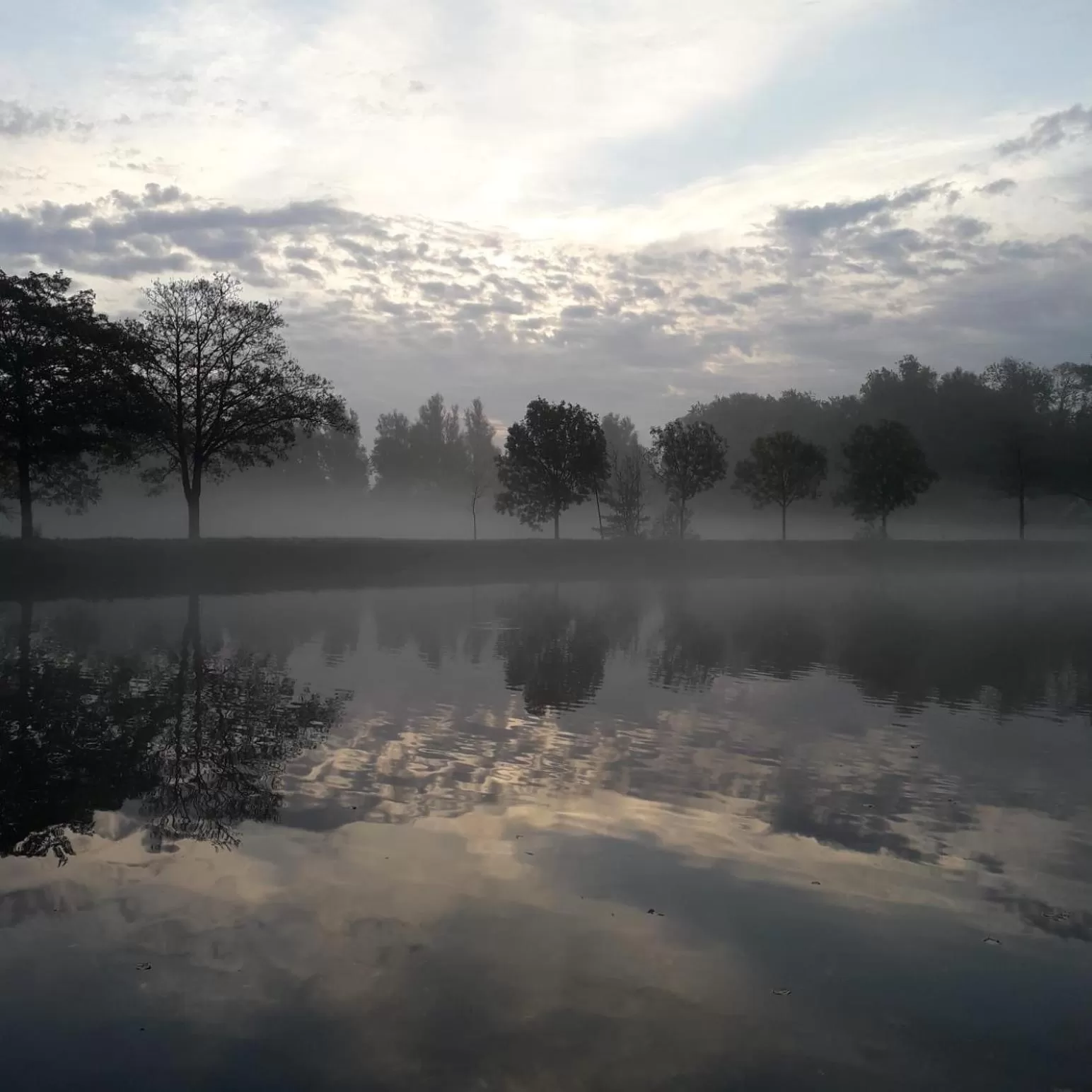 River view in Hotel Flora Batava