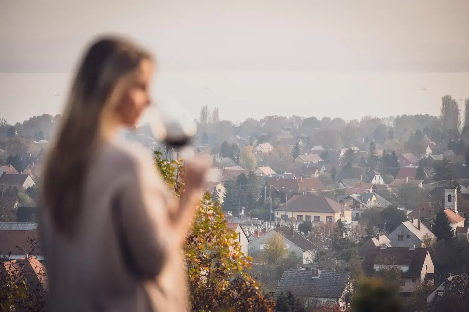 Lake view in Zenit Wellness Hotel Balaton