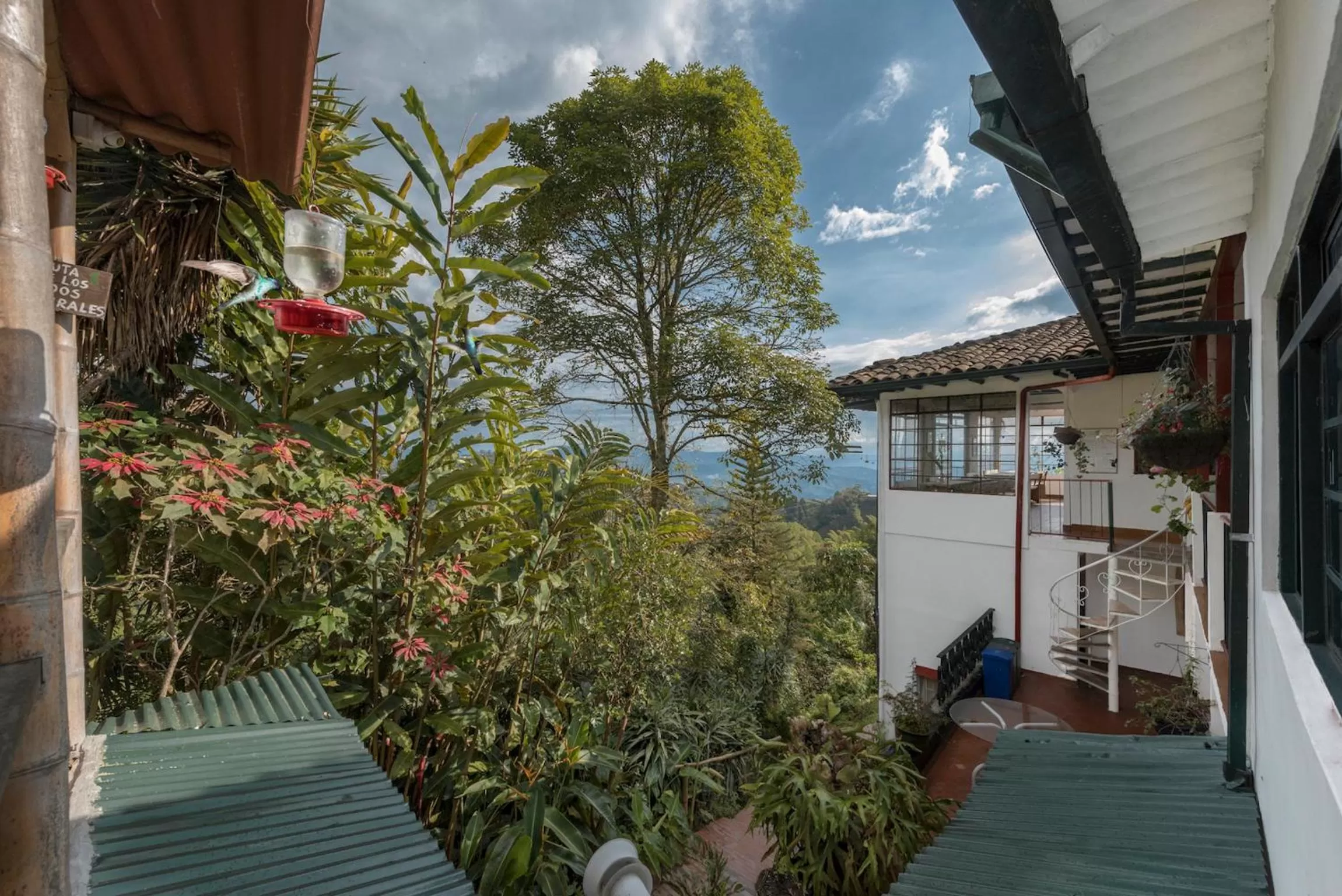 Bird's eye view in Eco Lodge La Juanita