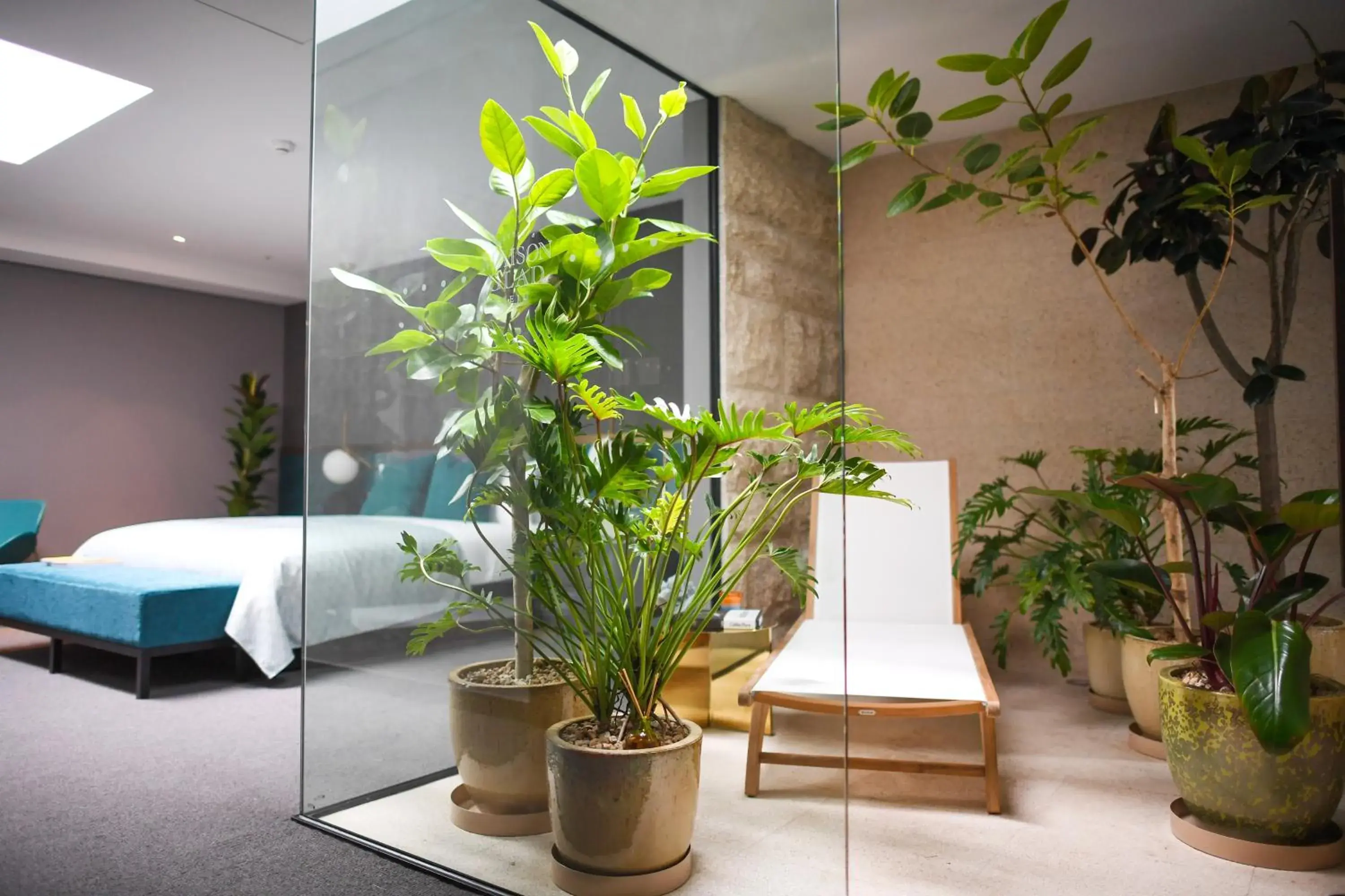 Bedroom, Bed in Maison Glad Jeju Bedroom, Bed in Maison Glad Jeju