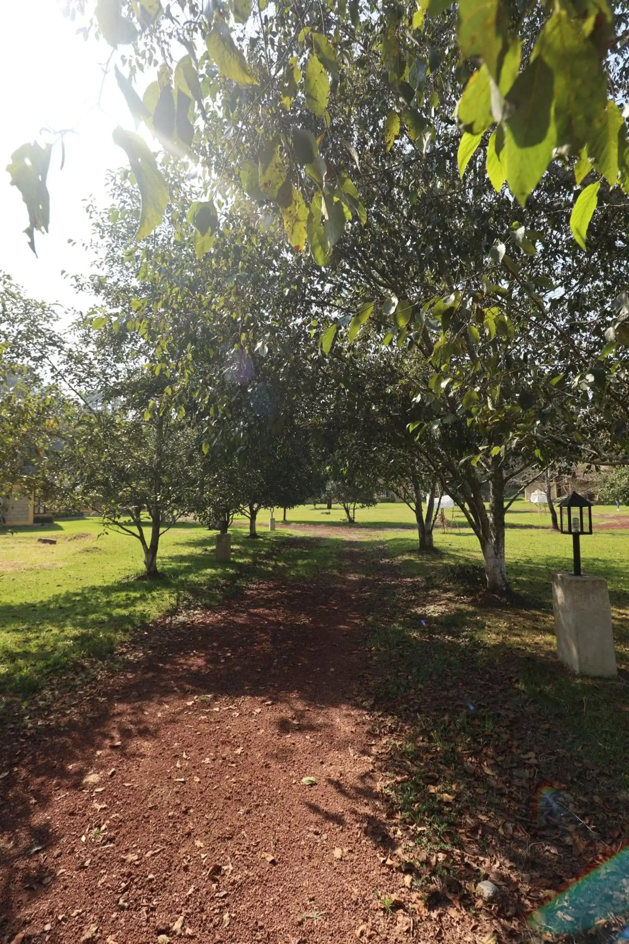 Garden in Cabañas La Cascada