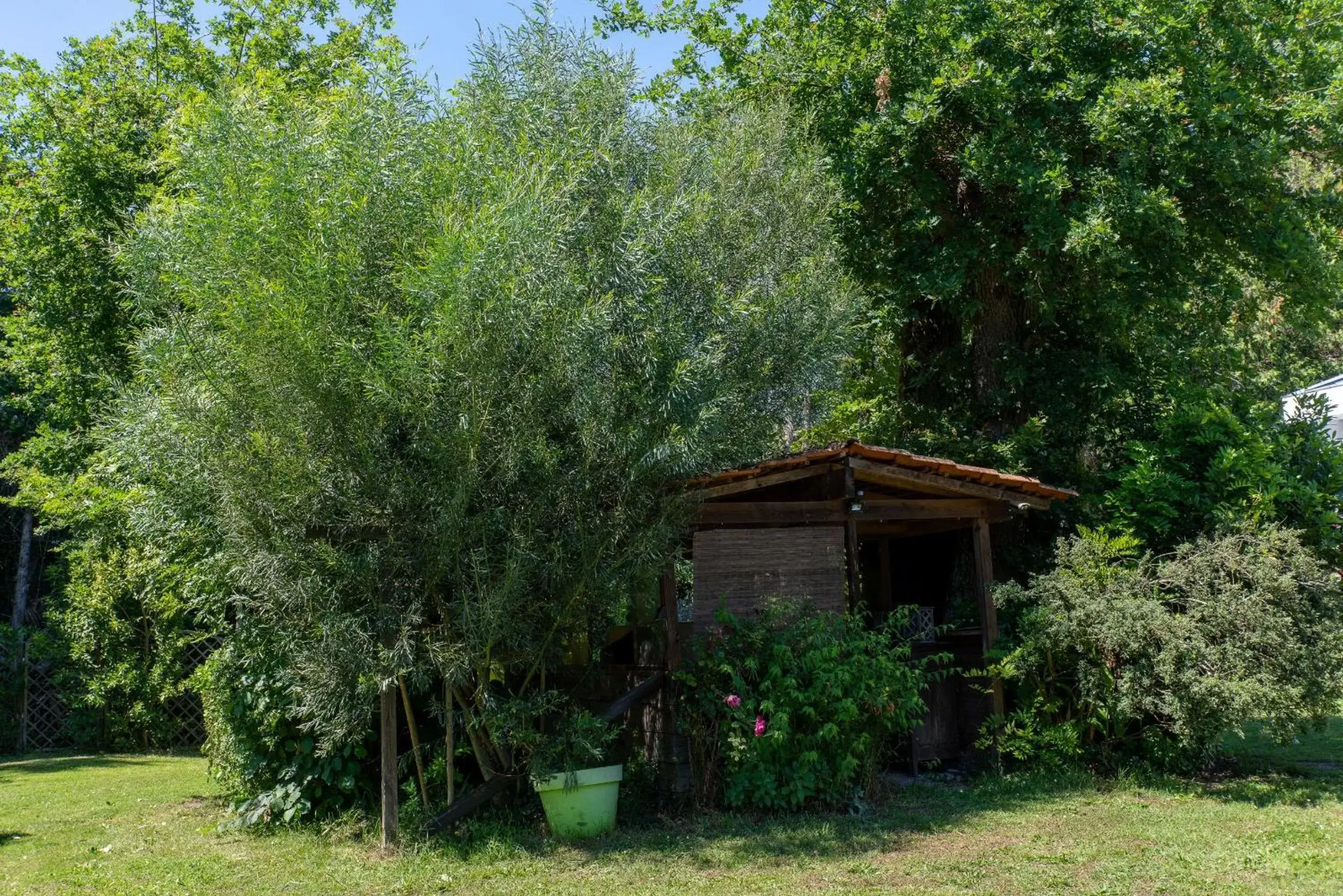 Garden in Maison Lucilda