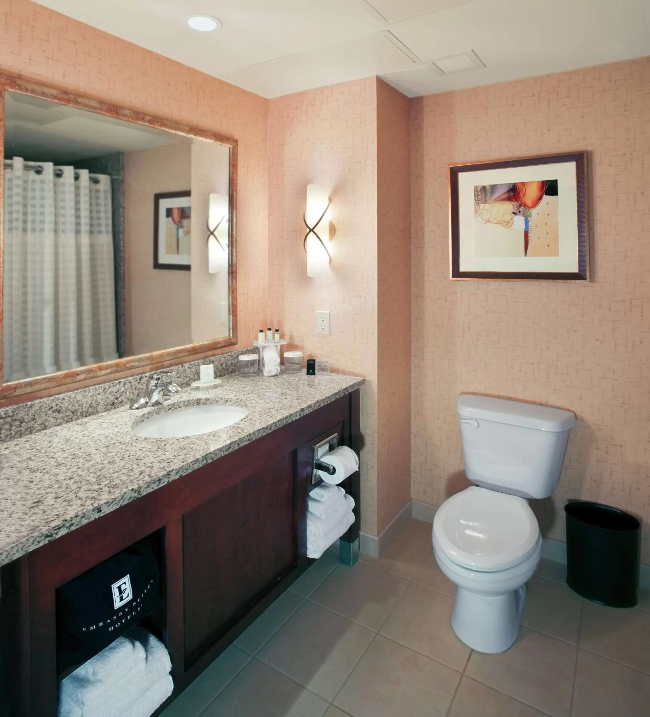 Bathroom in Embassy Suites by Hilton Norman Hotel & Conference Center