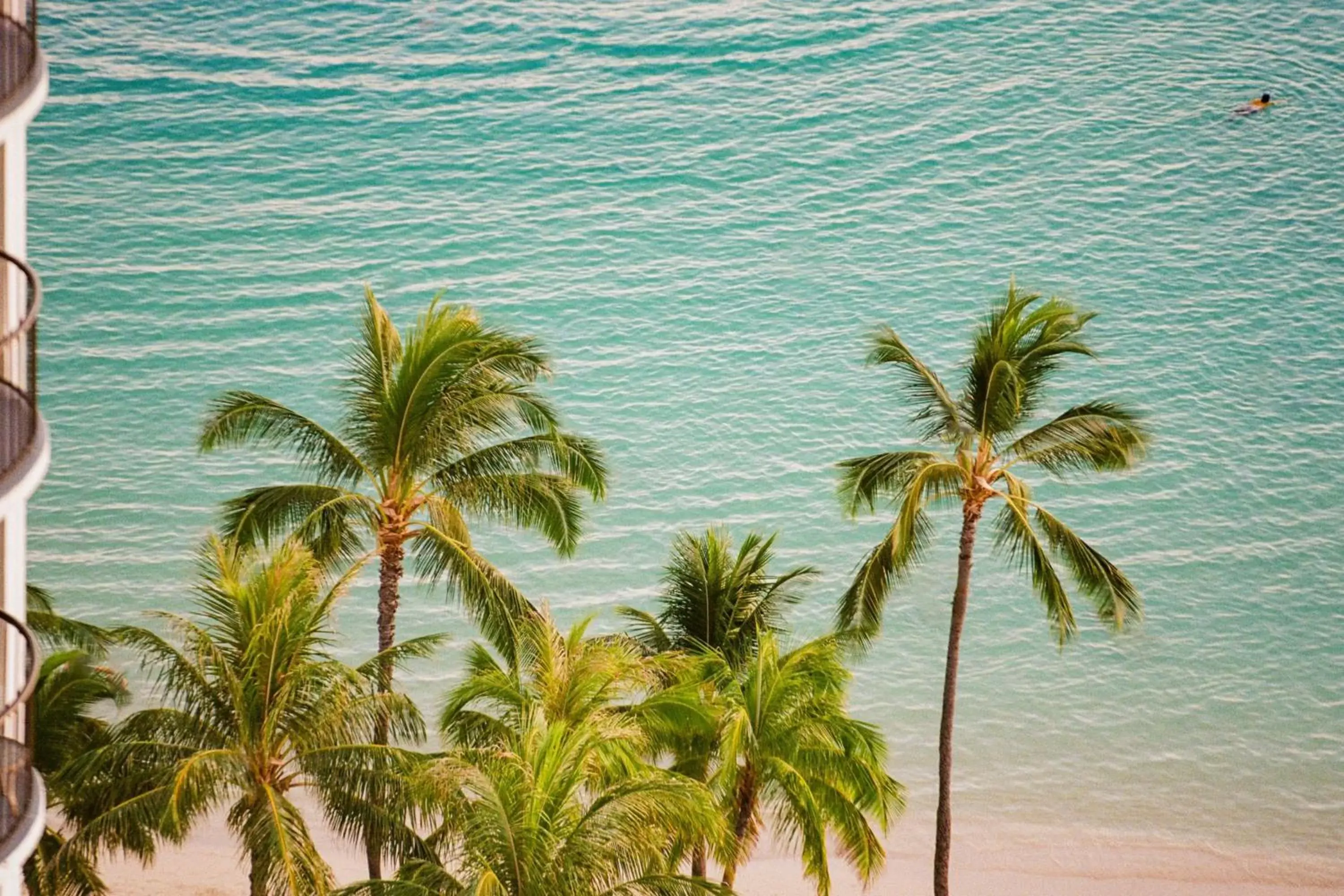 Beach in Waikiki Beach Marriott Resort & Spa