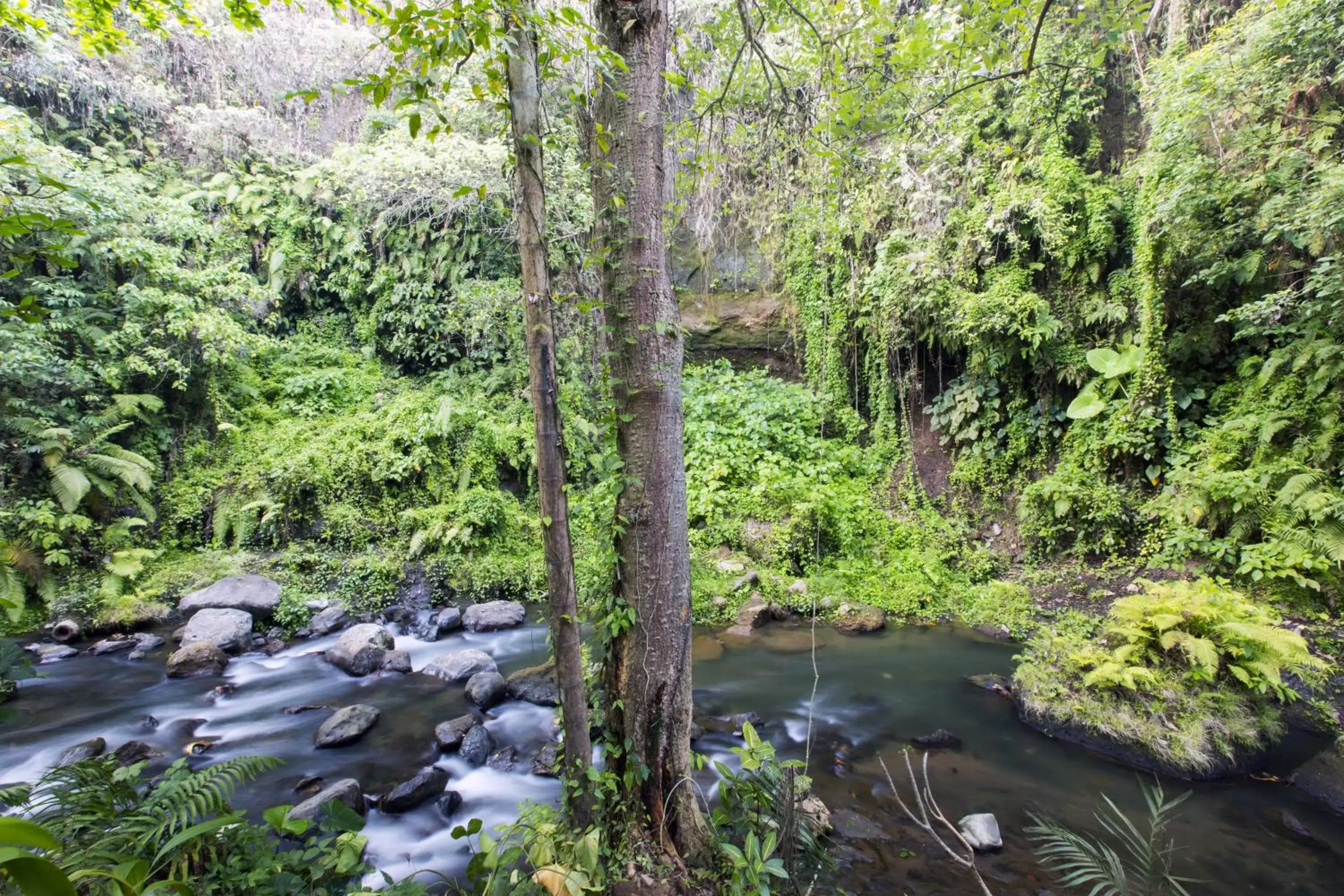 View (from property/room) in The Lokha Ubud Resort Villas and Spa