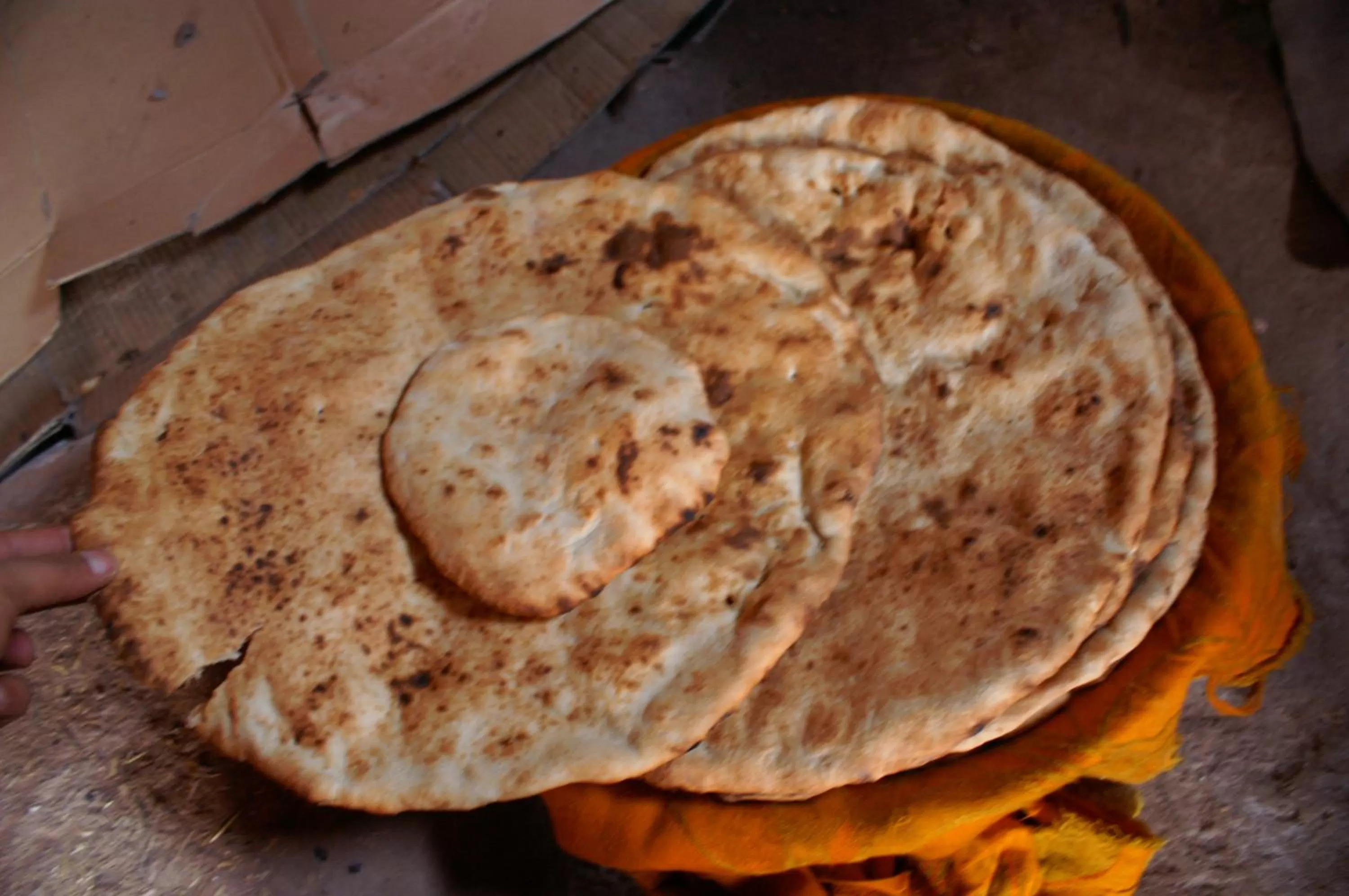 Activities in Maison d'hôtes Dar El Nath