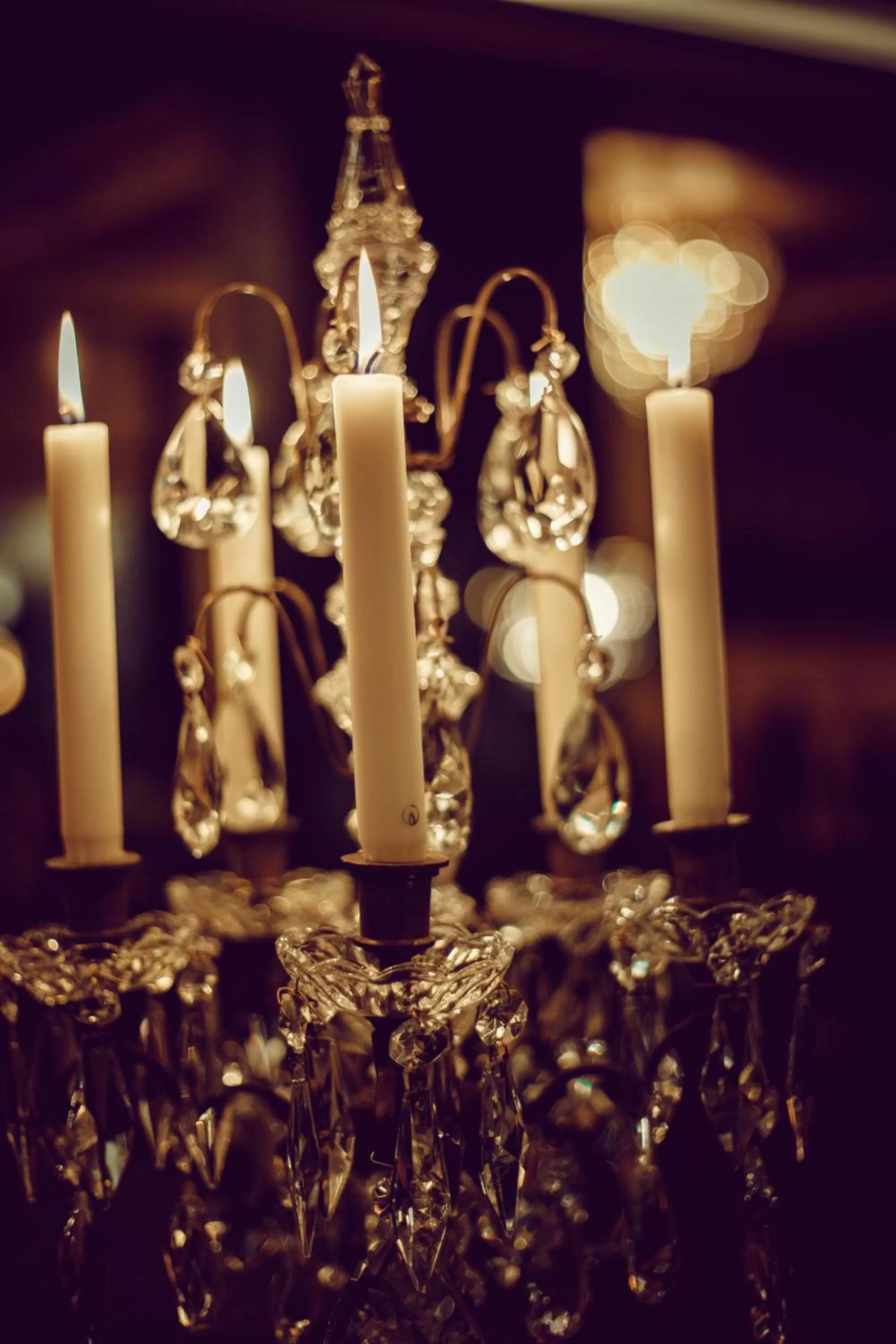 Lounge or bar in Boutique Hotel Opus One