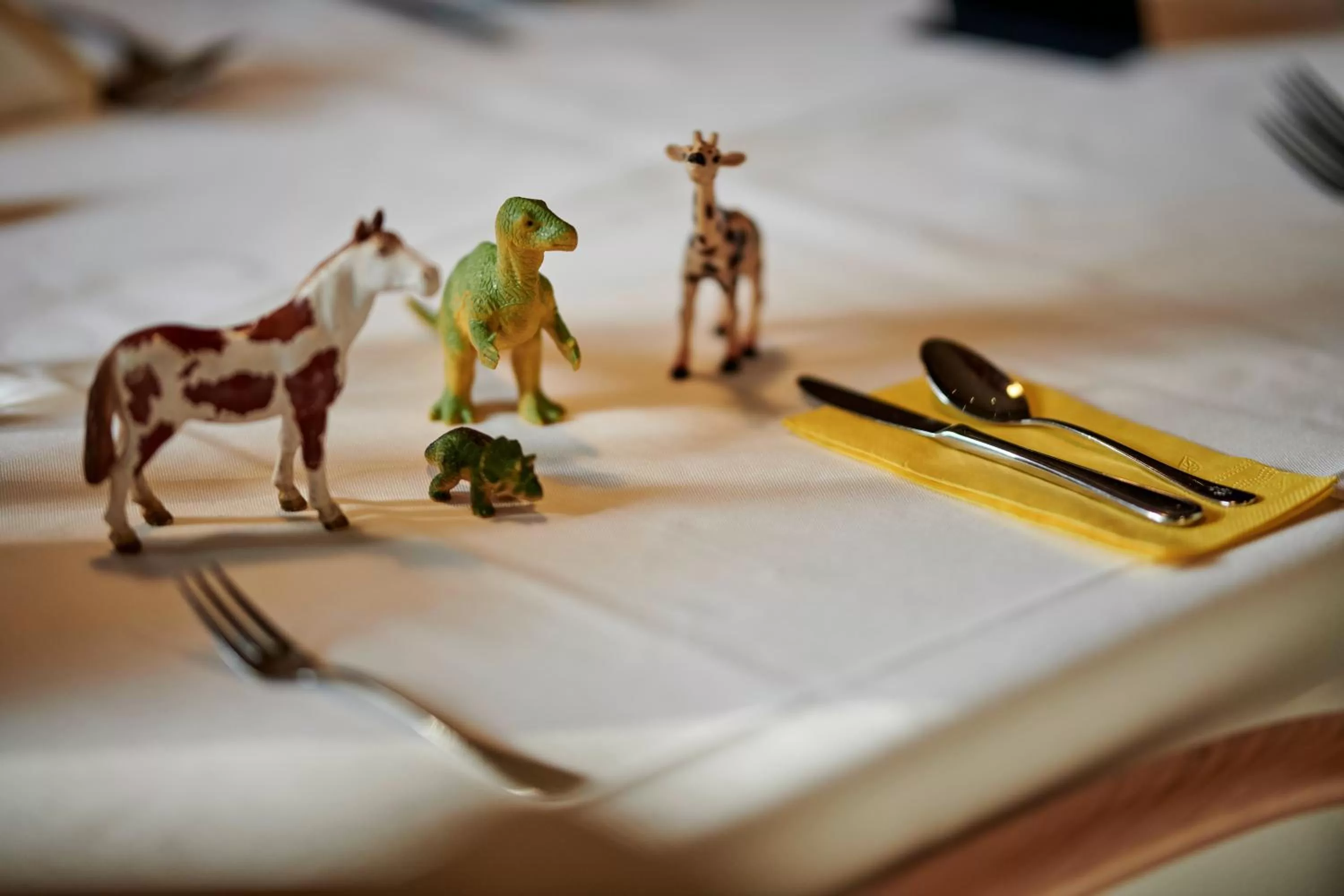 Food and drinks in Hotel Bannwaldsee