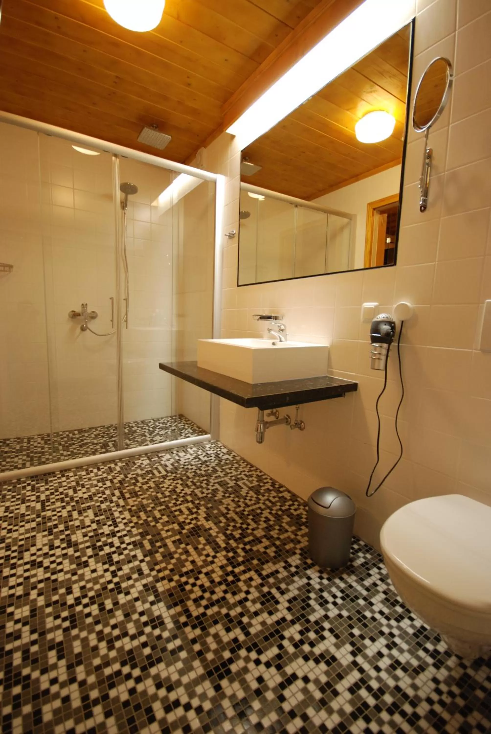 Bathroom in Moving Rooms