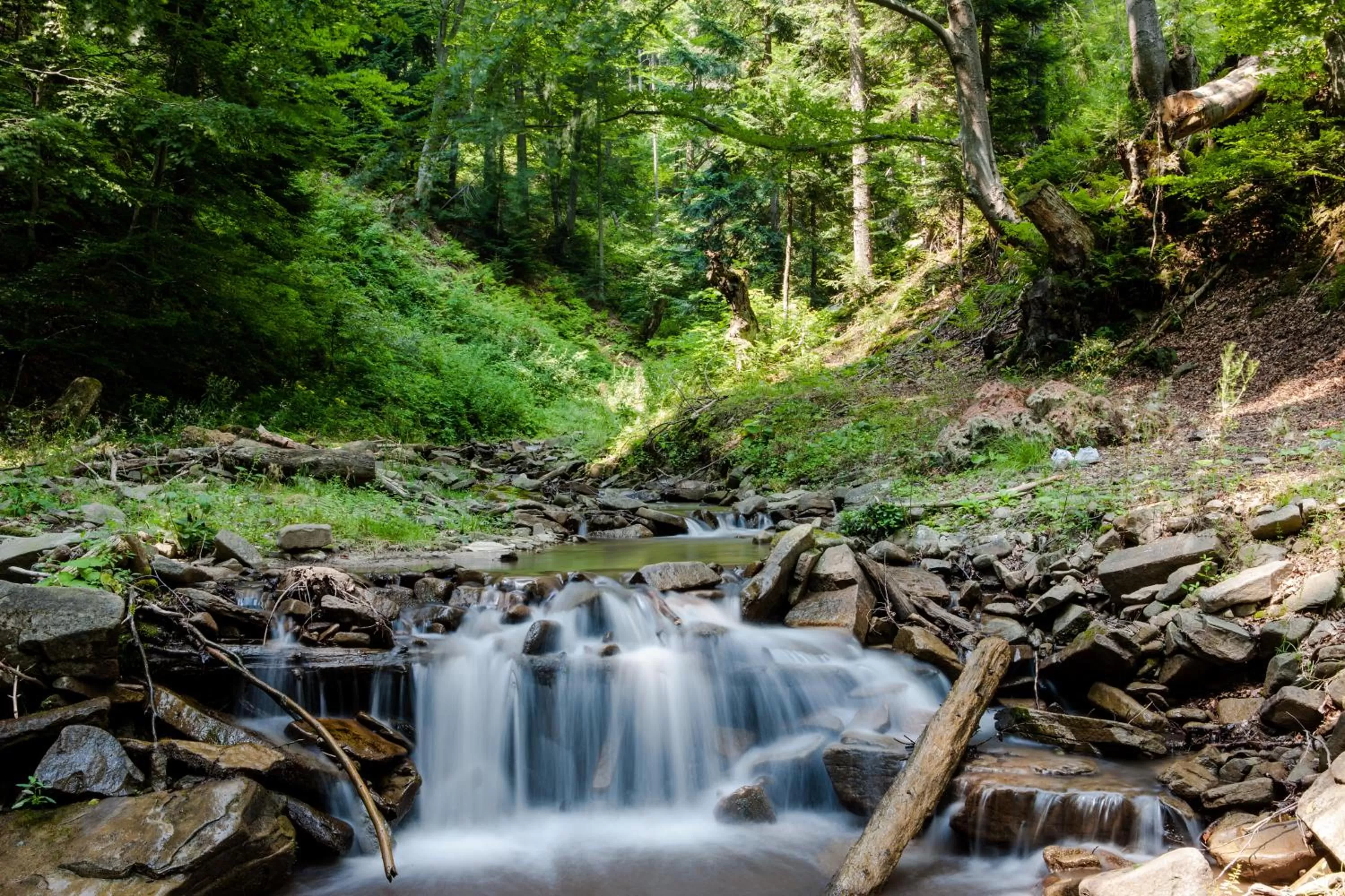 Spring in Hotel Klimek Spa