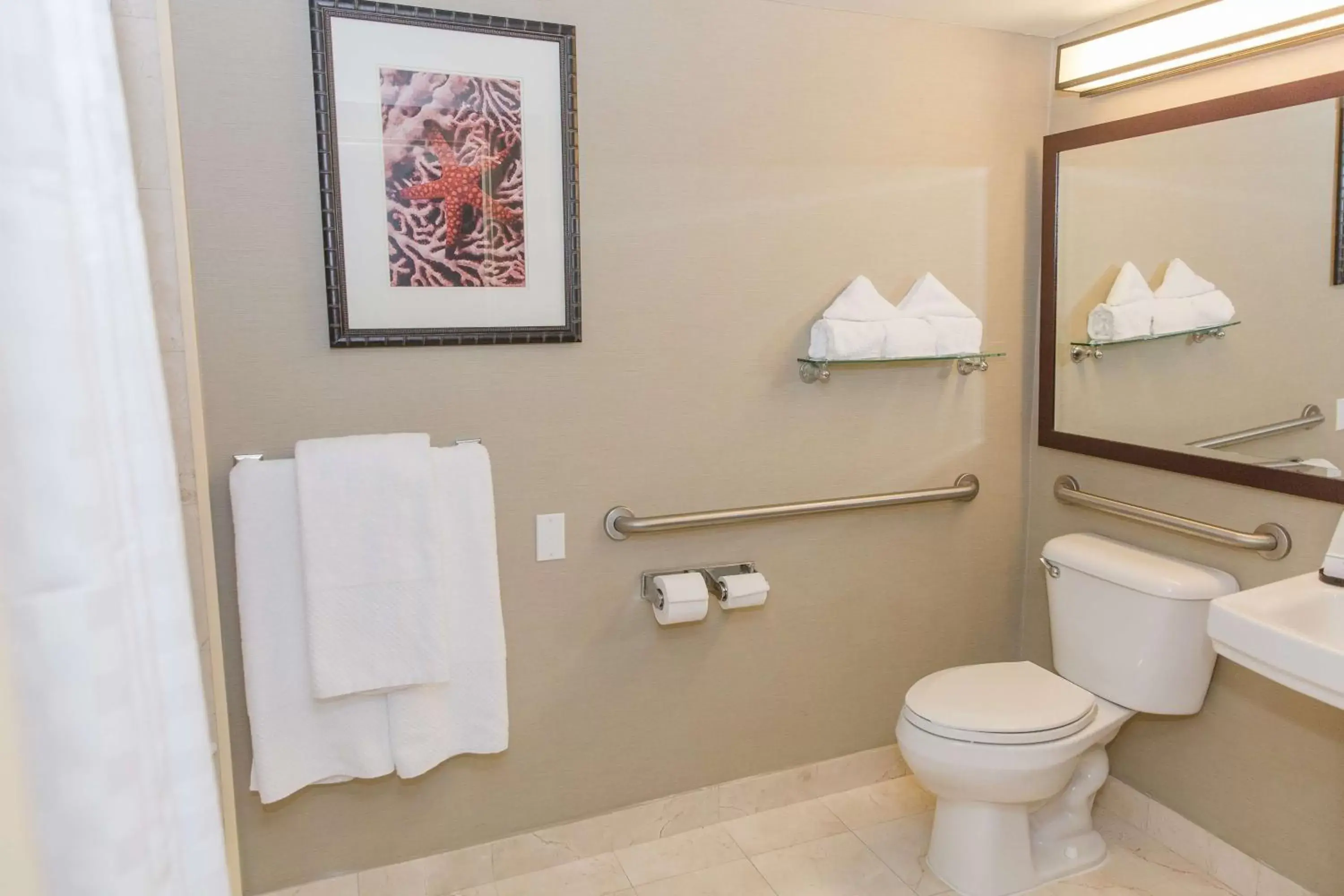 Bathroom in Embassy Suites by Hilton West Palm Beach Central