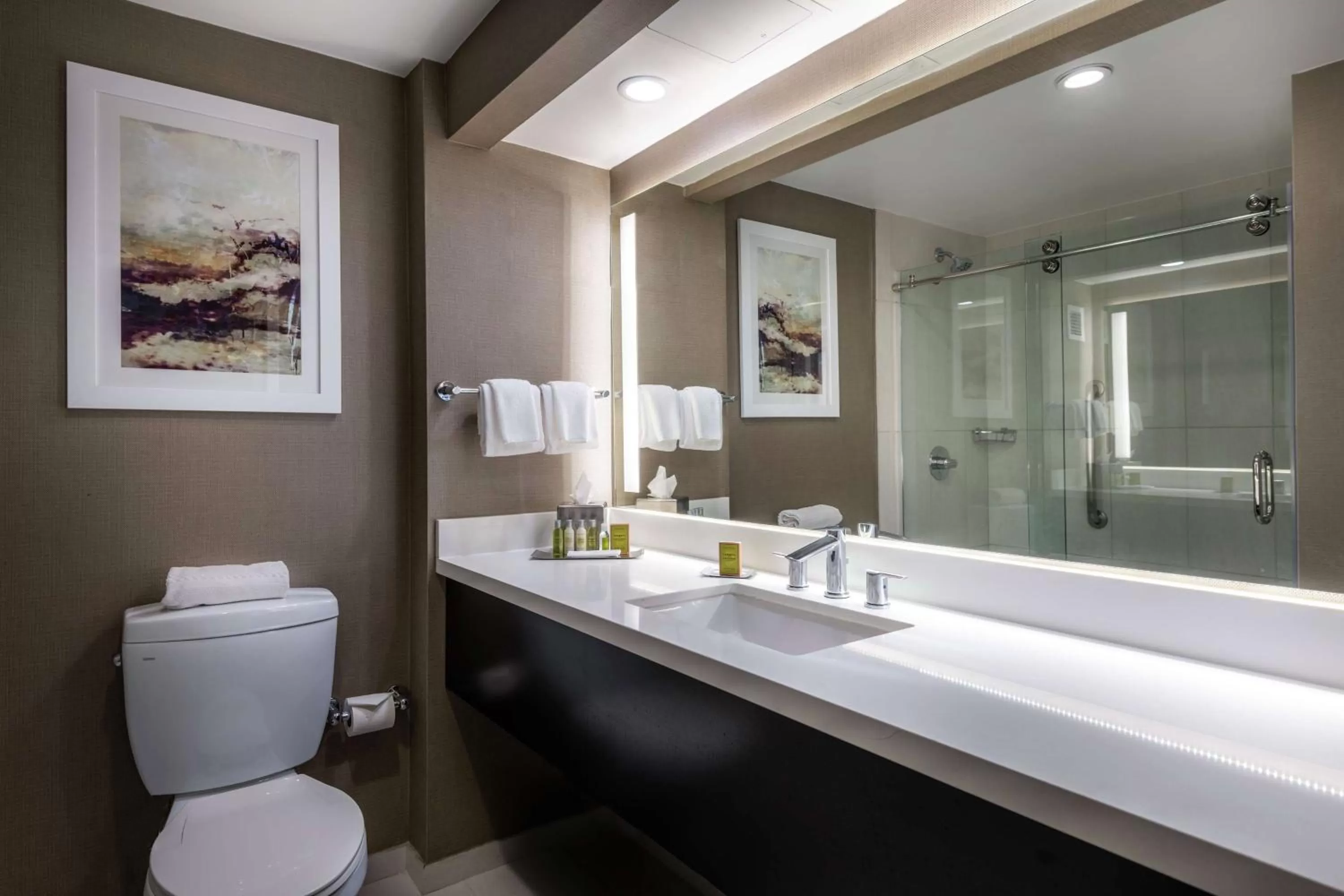 Bathroom in DoubleTree by Hilton Los Angeles Norwalk