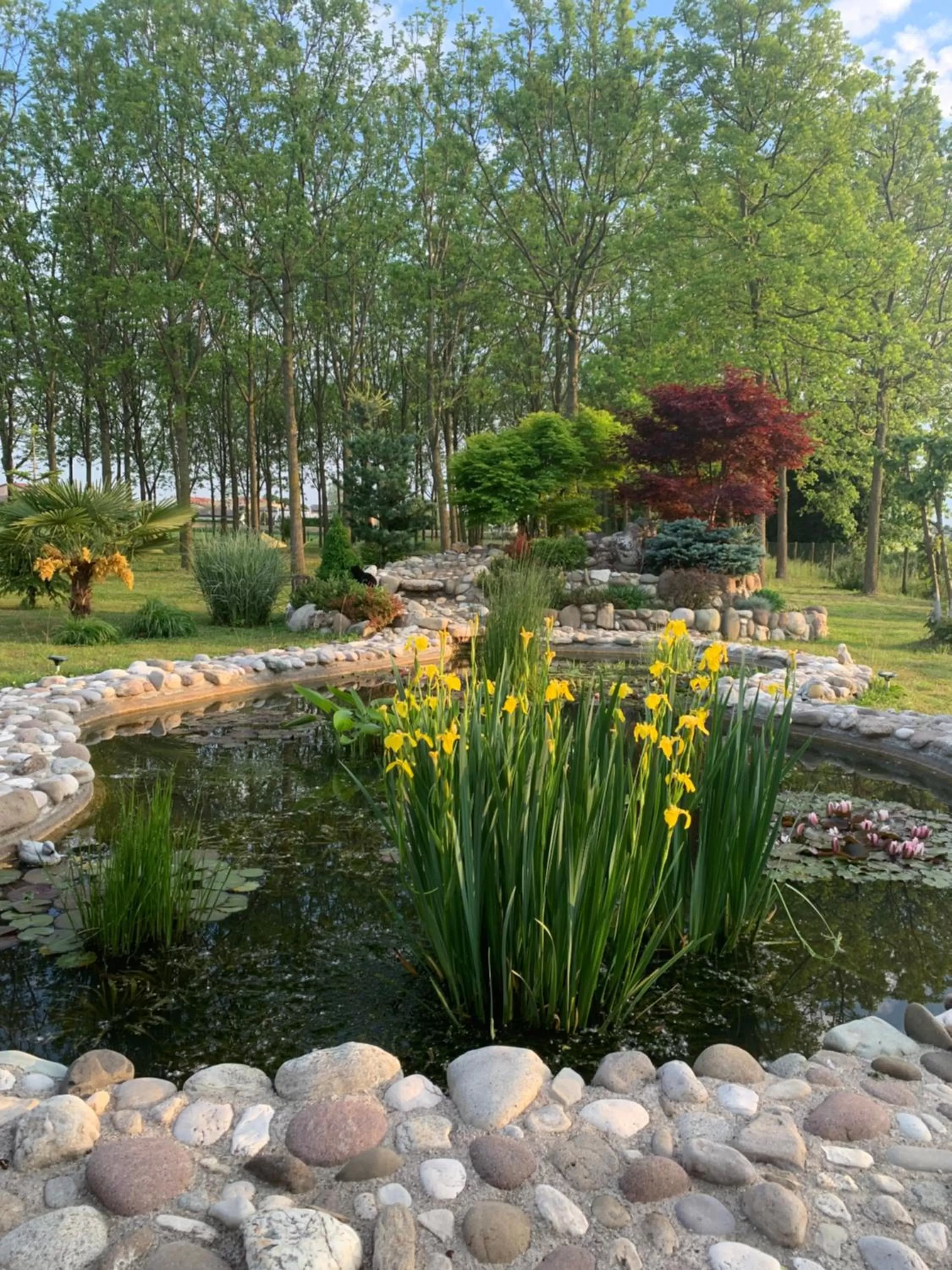 Garden in Pool & Garden Villa Lelia