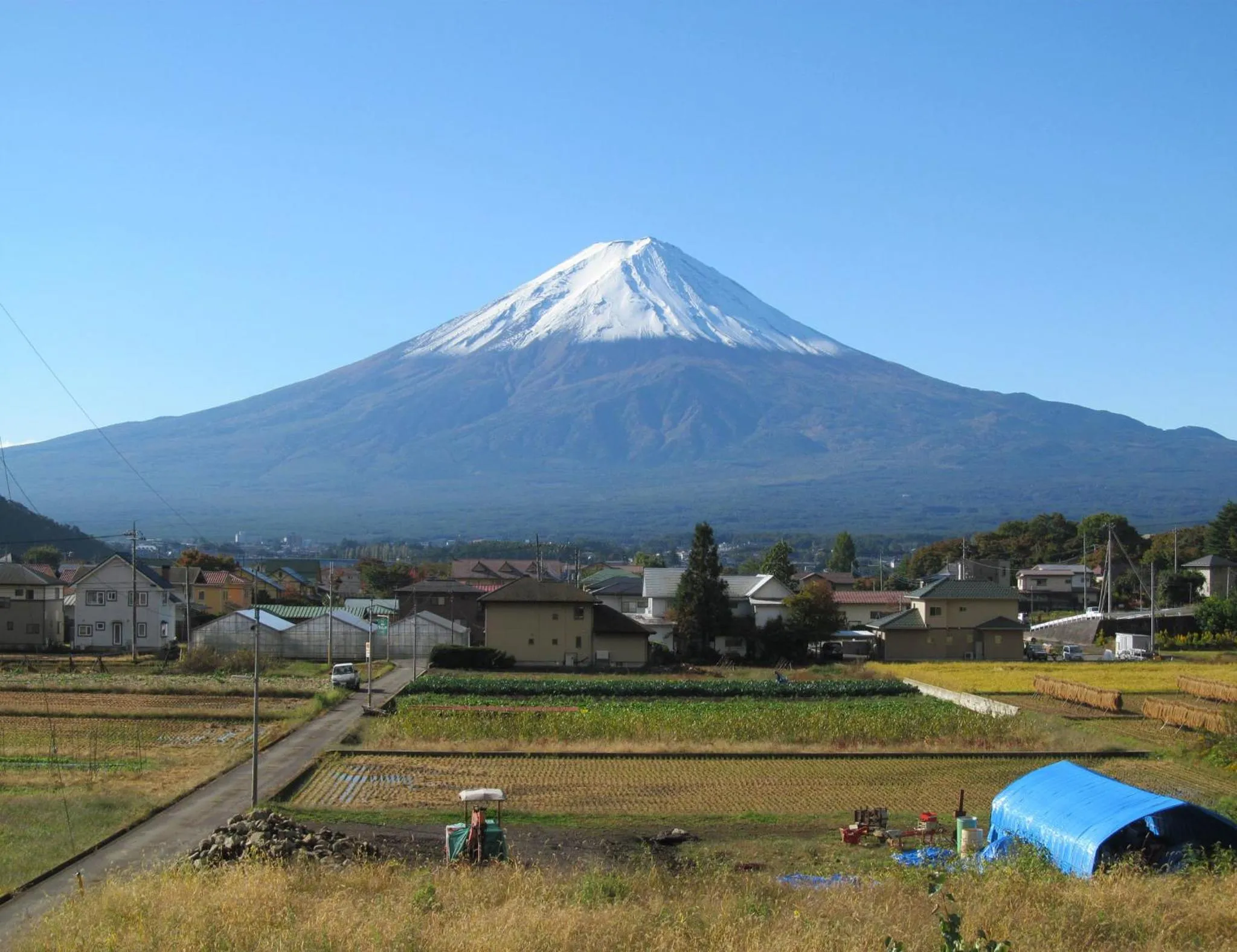 View (from property/room) in Villa Orange Cabin