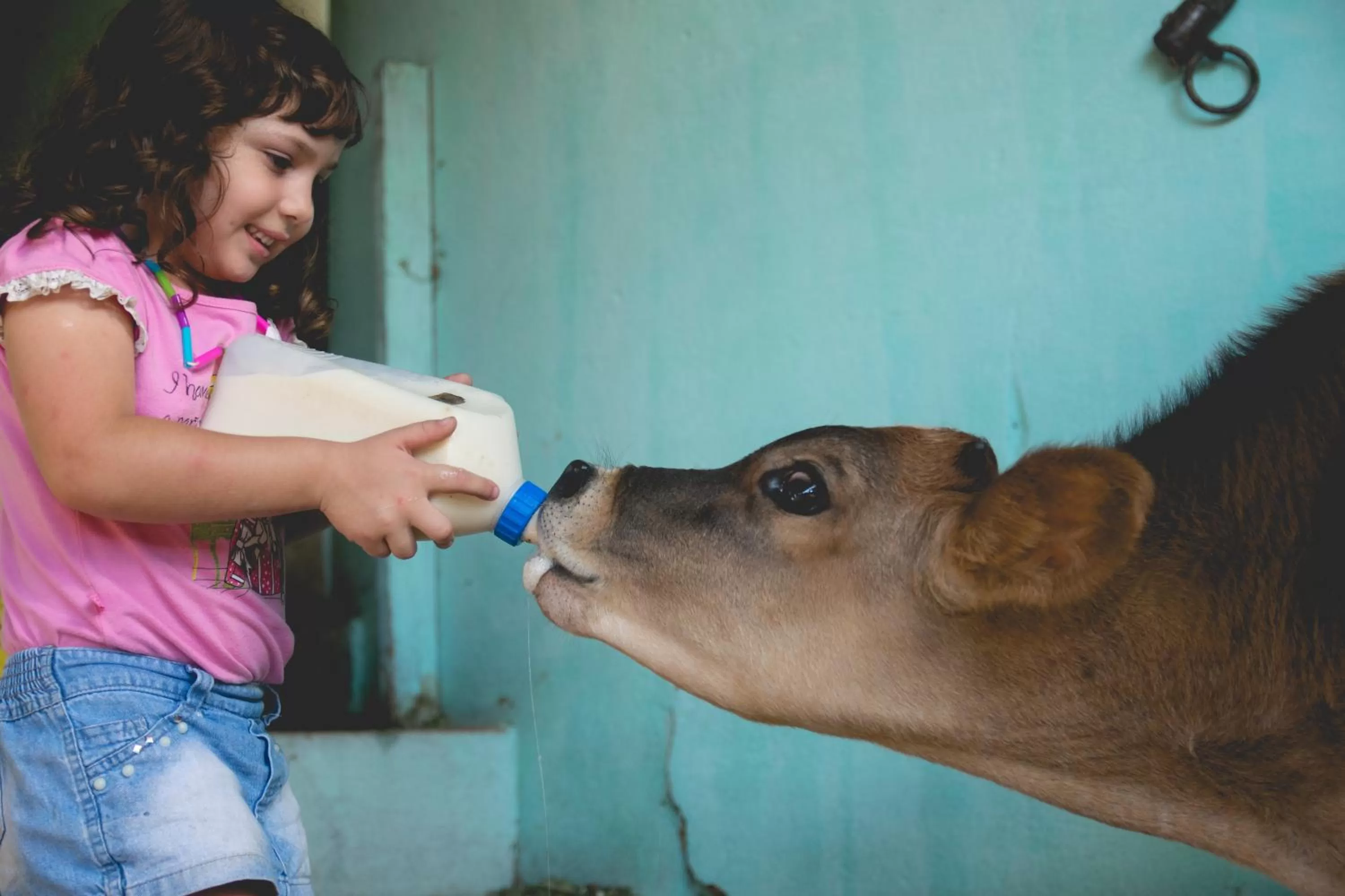 Property building in Lagoa Seca Hotel Rural