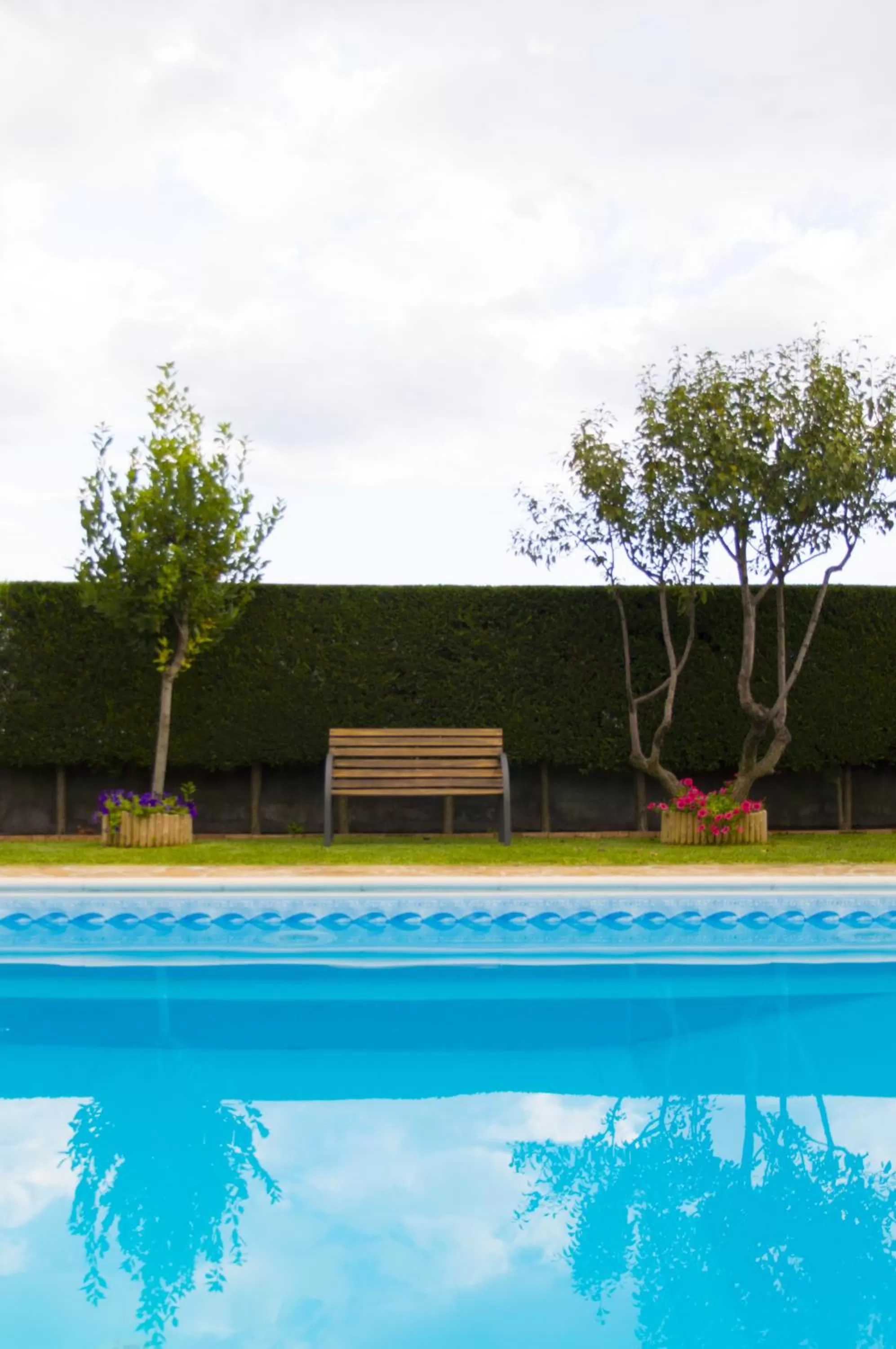 Decorative detail, Swimming Pool in Etma