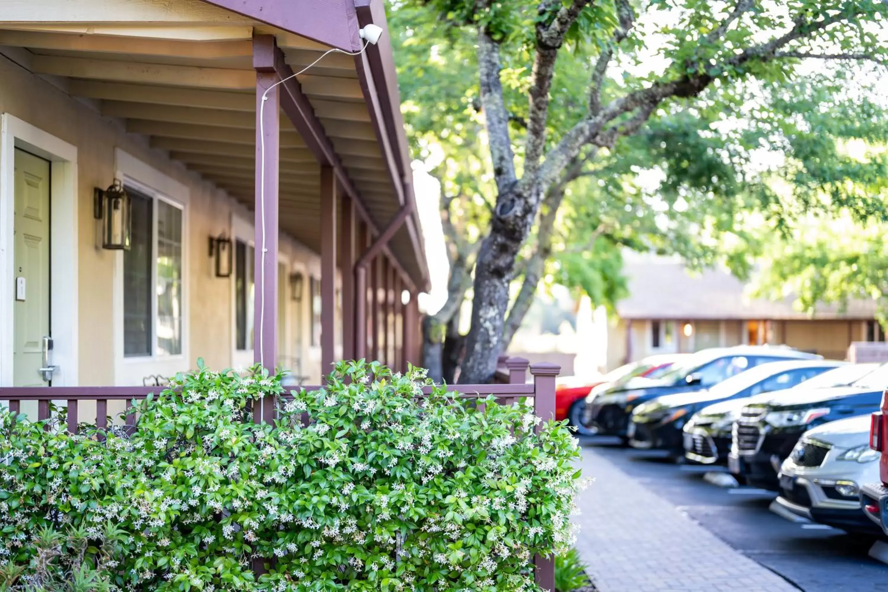 Property Building in The Inn on Pine