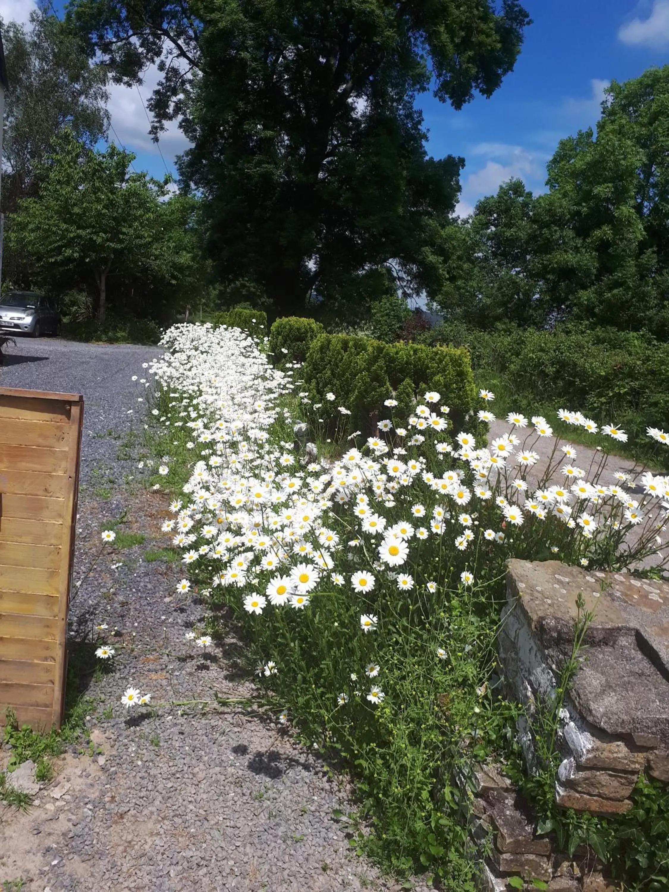 Garden in Annaswood B&B