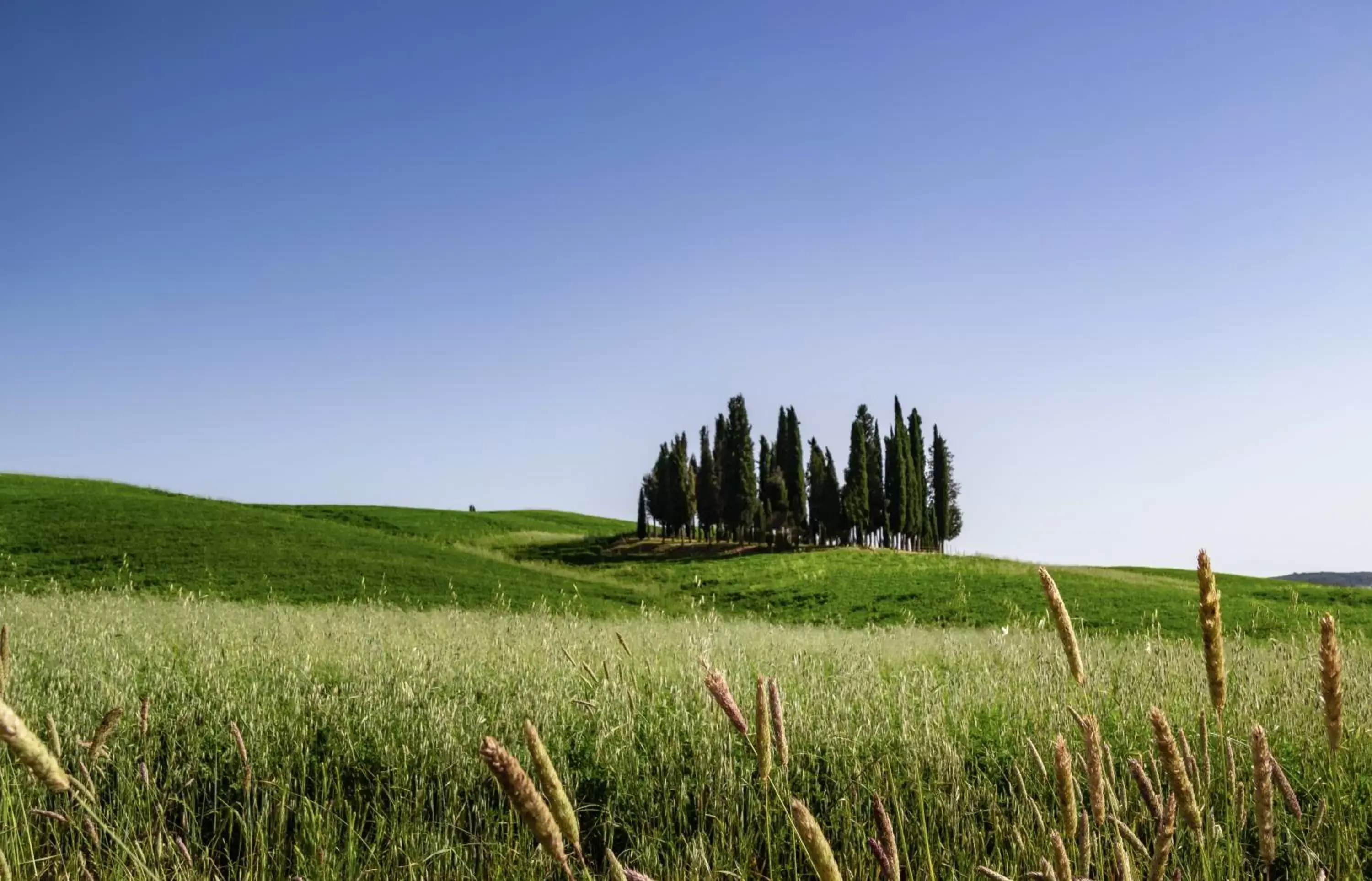 Natural Landscape in Hotel Corsignano