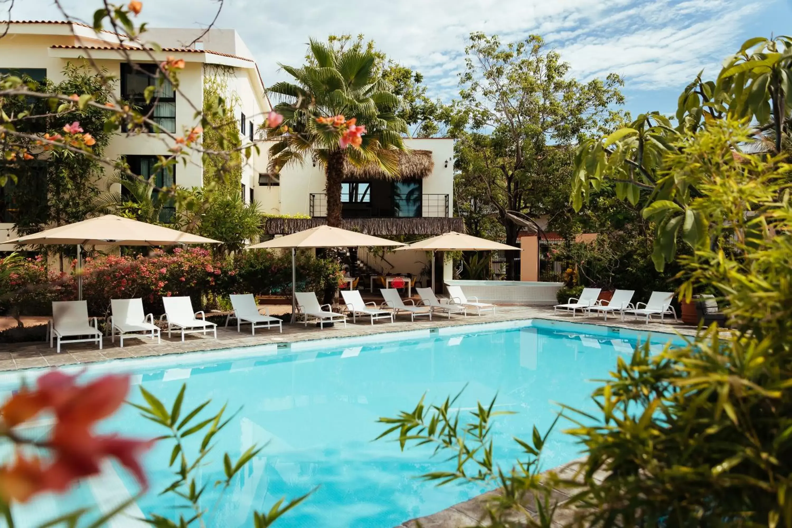 Patio, Swimming Pool in San Trópico Boutique Hotel & Peaceful Escape