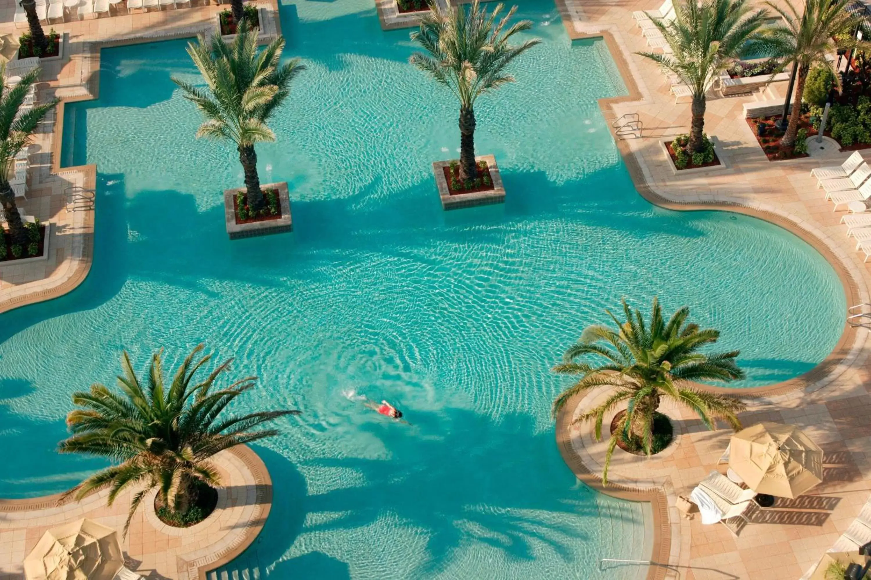 Swimming pool, Pool View in JW Marriott Marco Island Beach Resort