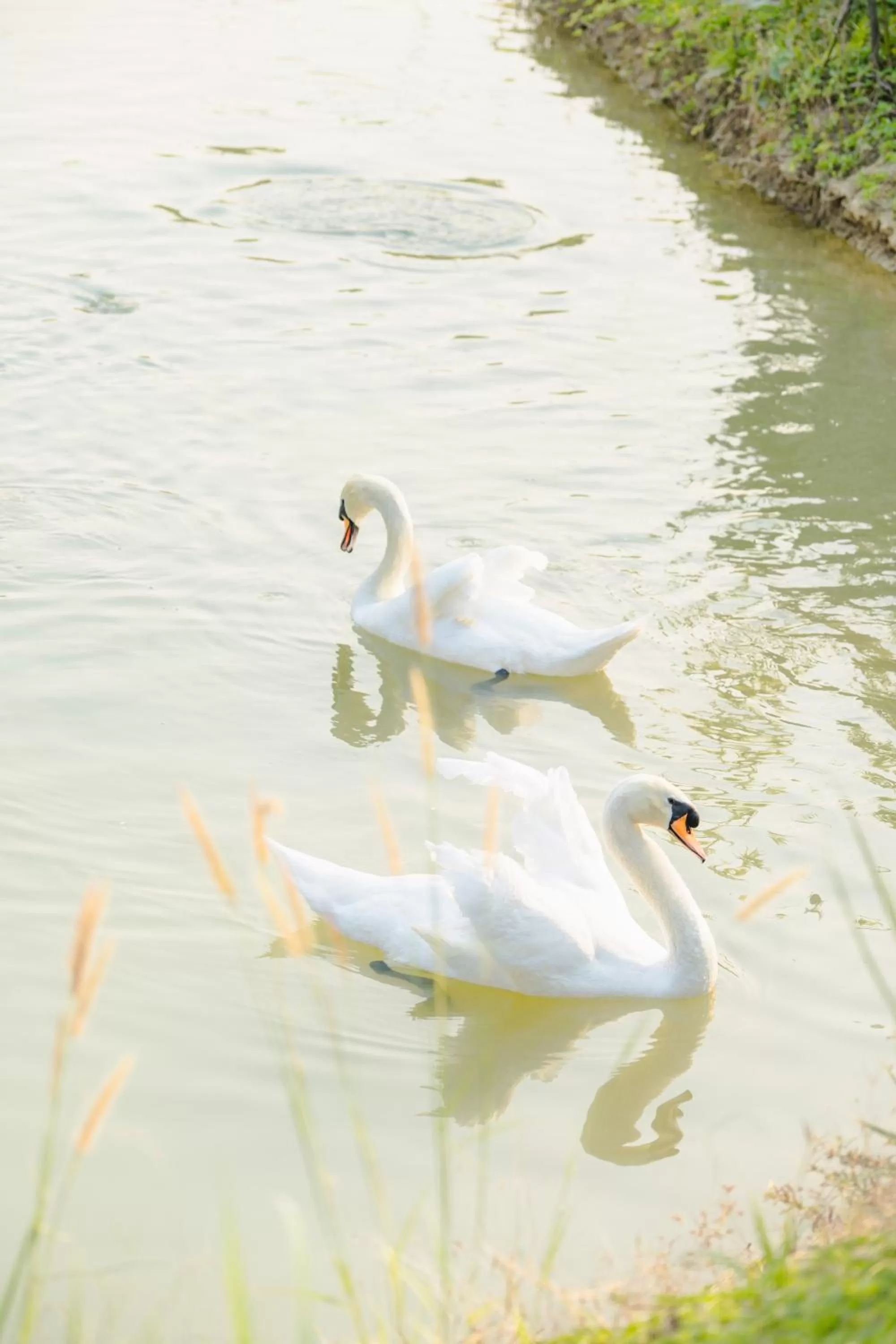 Natural landscape in Katiliya Mountain Resort And Spa