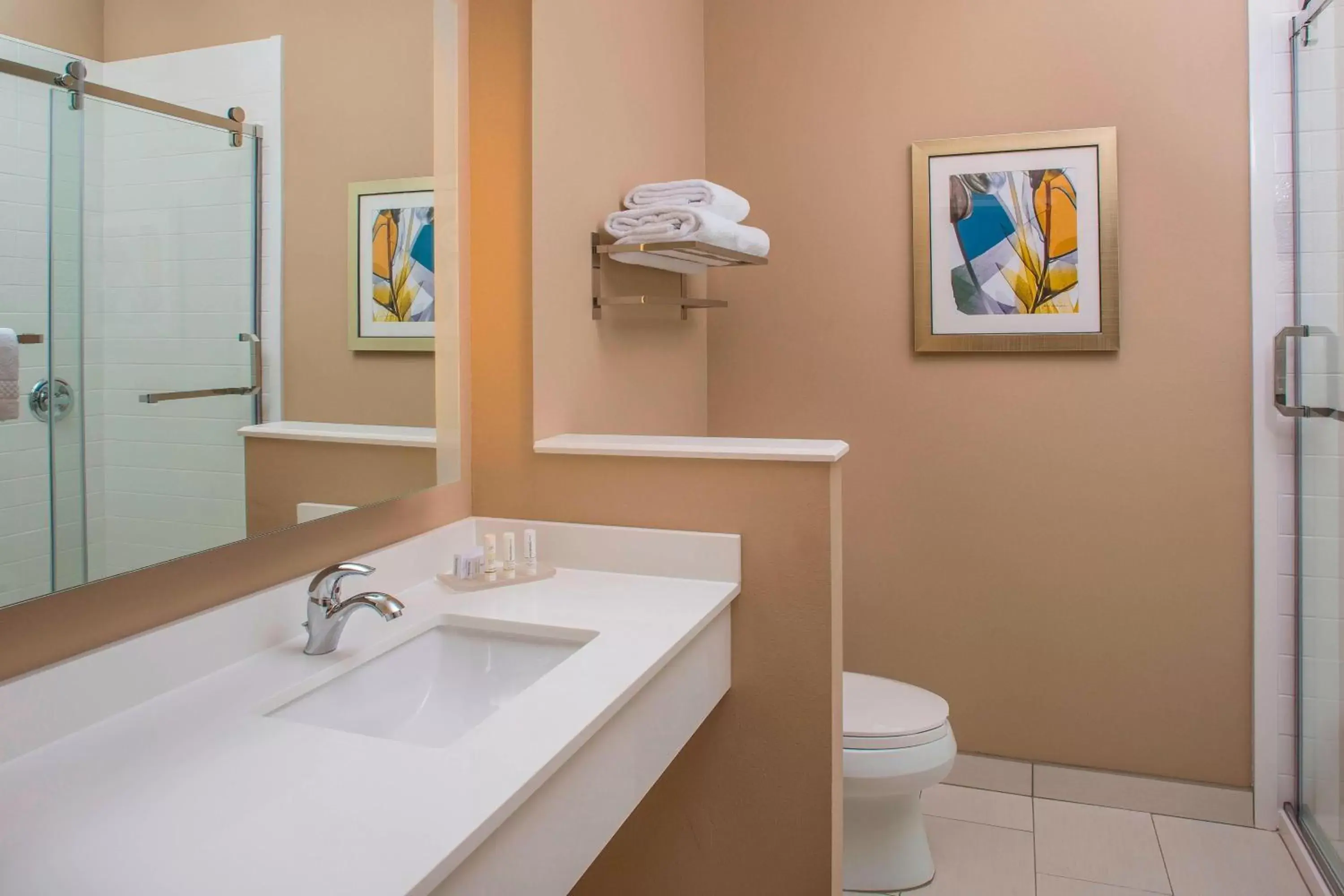Bathroom in Fairfield Inn & Suites by Marriott Cut Off-Galliano