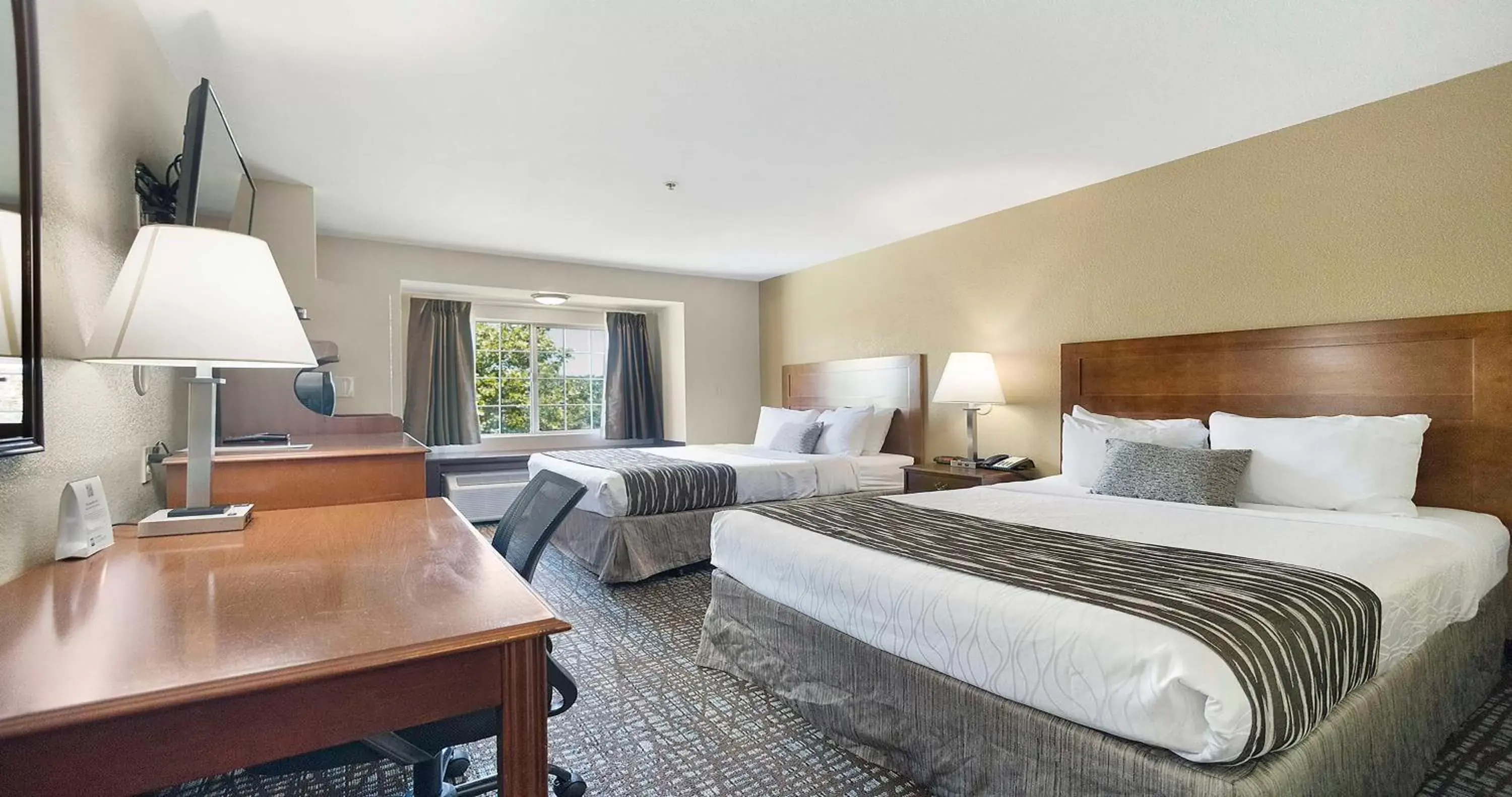 Bedroom in SureStay Plus Hotel by Best Western Rocklin