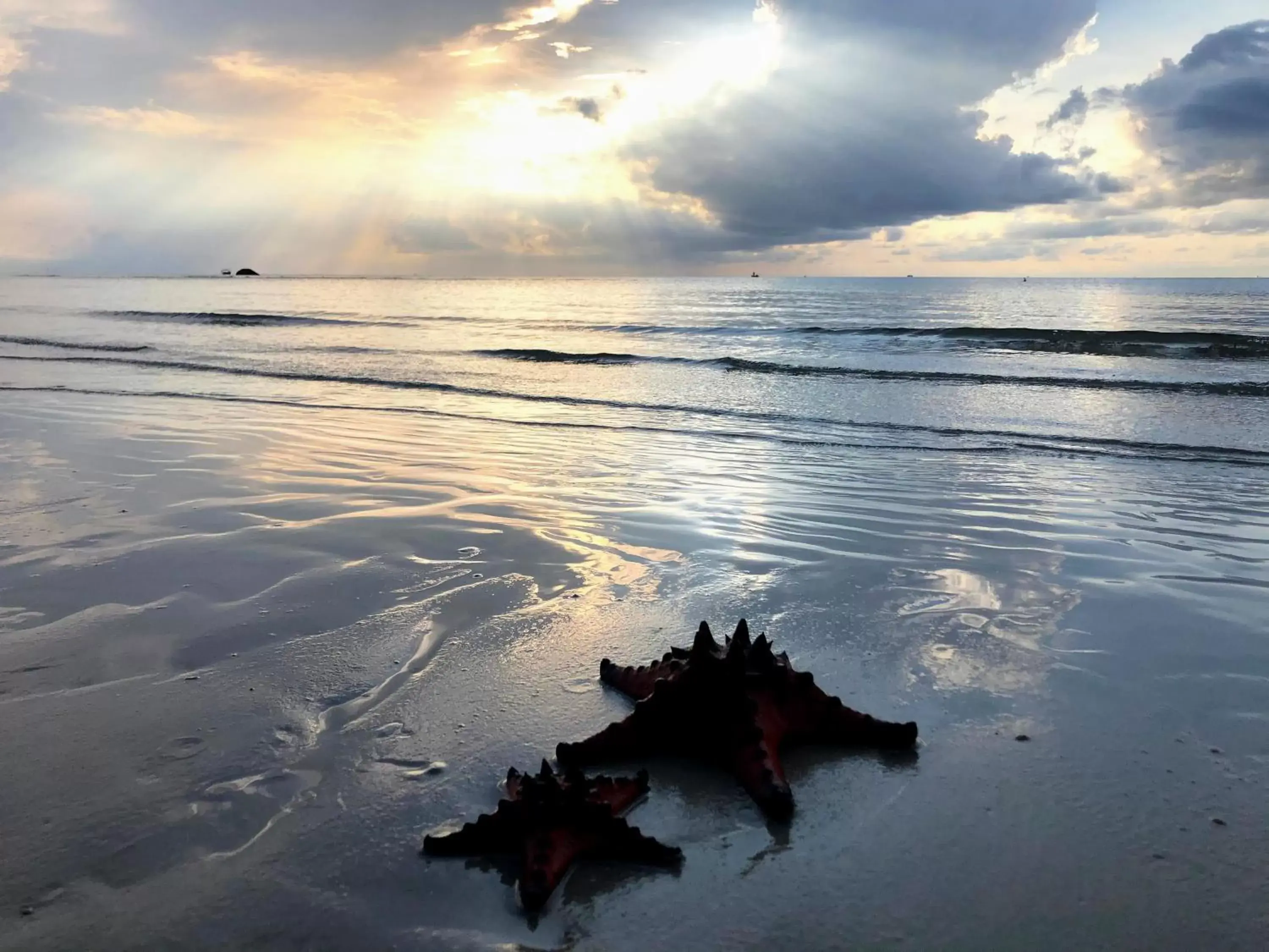 Beach in Wildland Resort