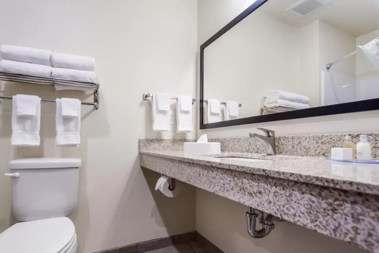 Bathroom in Cobblestone Hotel & Suites - Knoxville