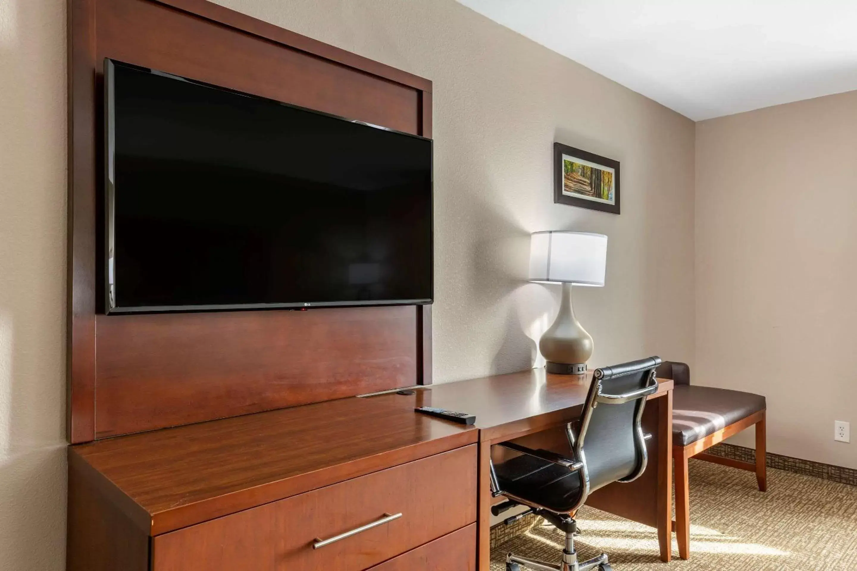 Photo of the whole room, TV/Entertainment Center in Comfort Inn Smithfield near I-95