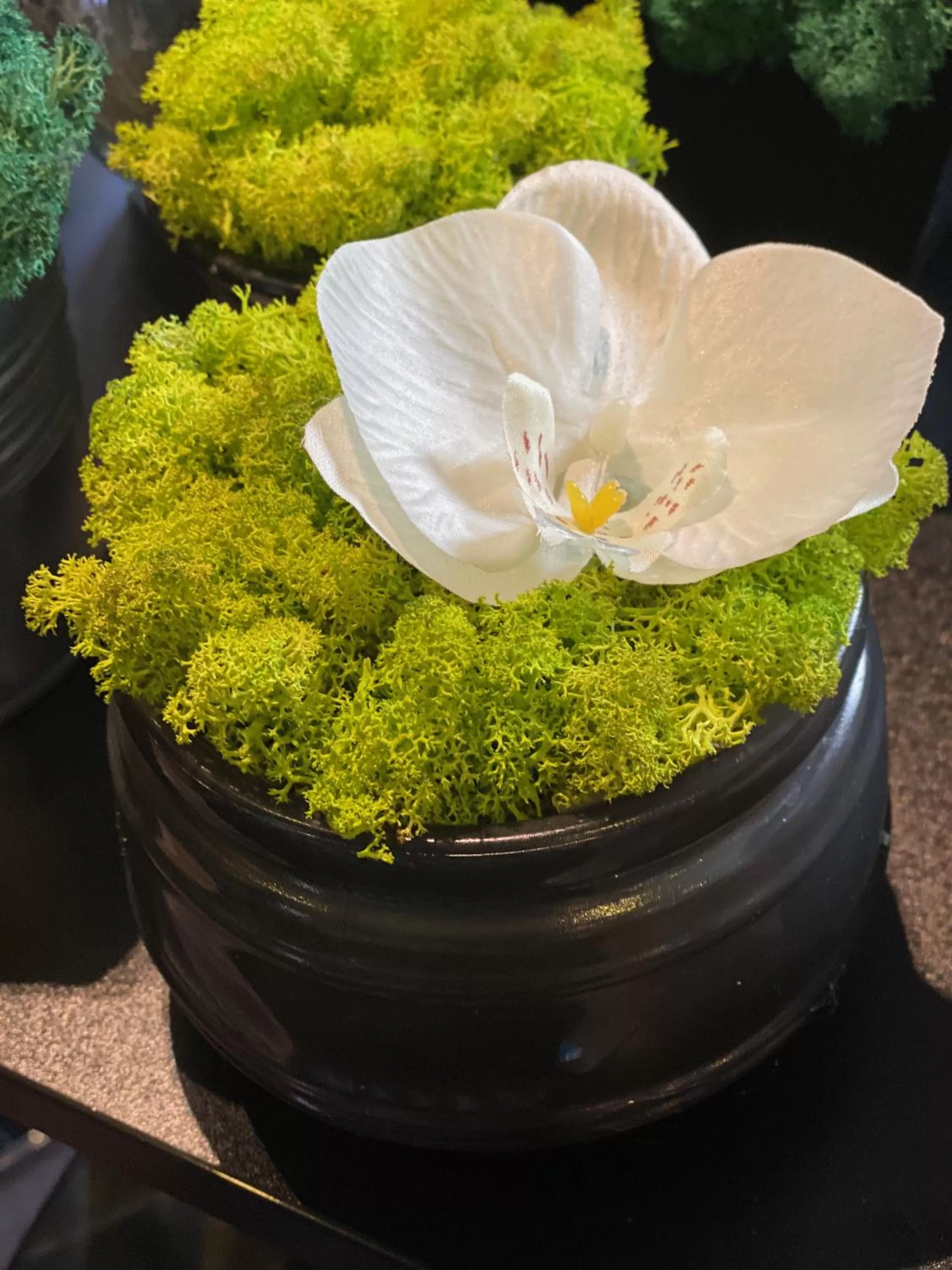 Decorative detail in Margaréta Garden & SPA