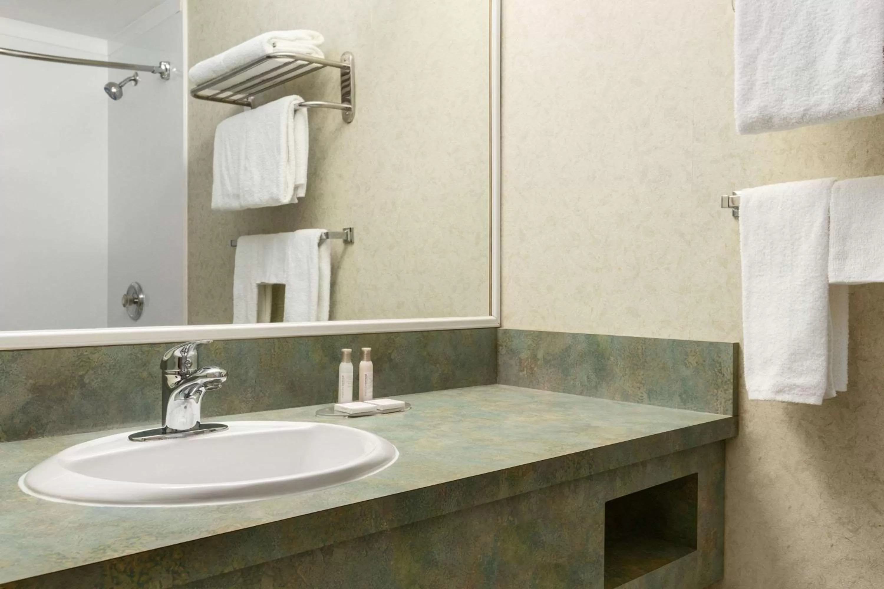 Bathroom in Travelodge by Wyndham Winnipeg East