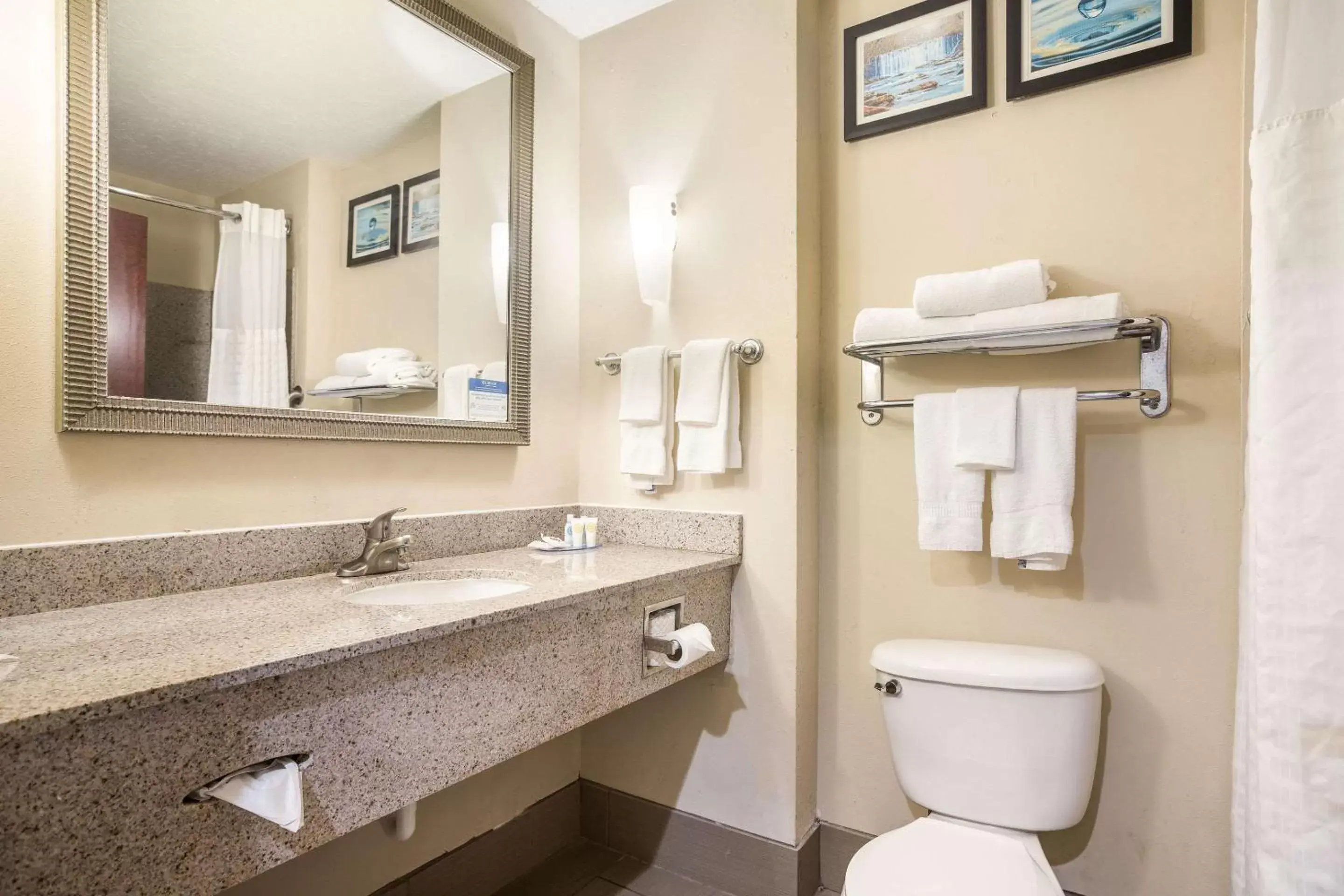 Photo of the whole room, Bathroom in Comfort Suites Forsyth near I-75