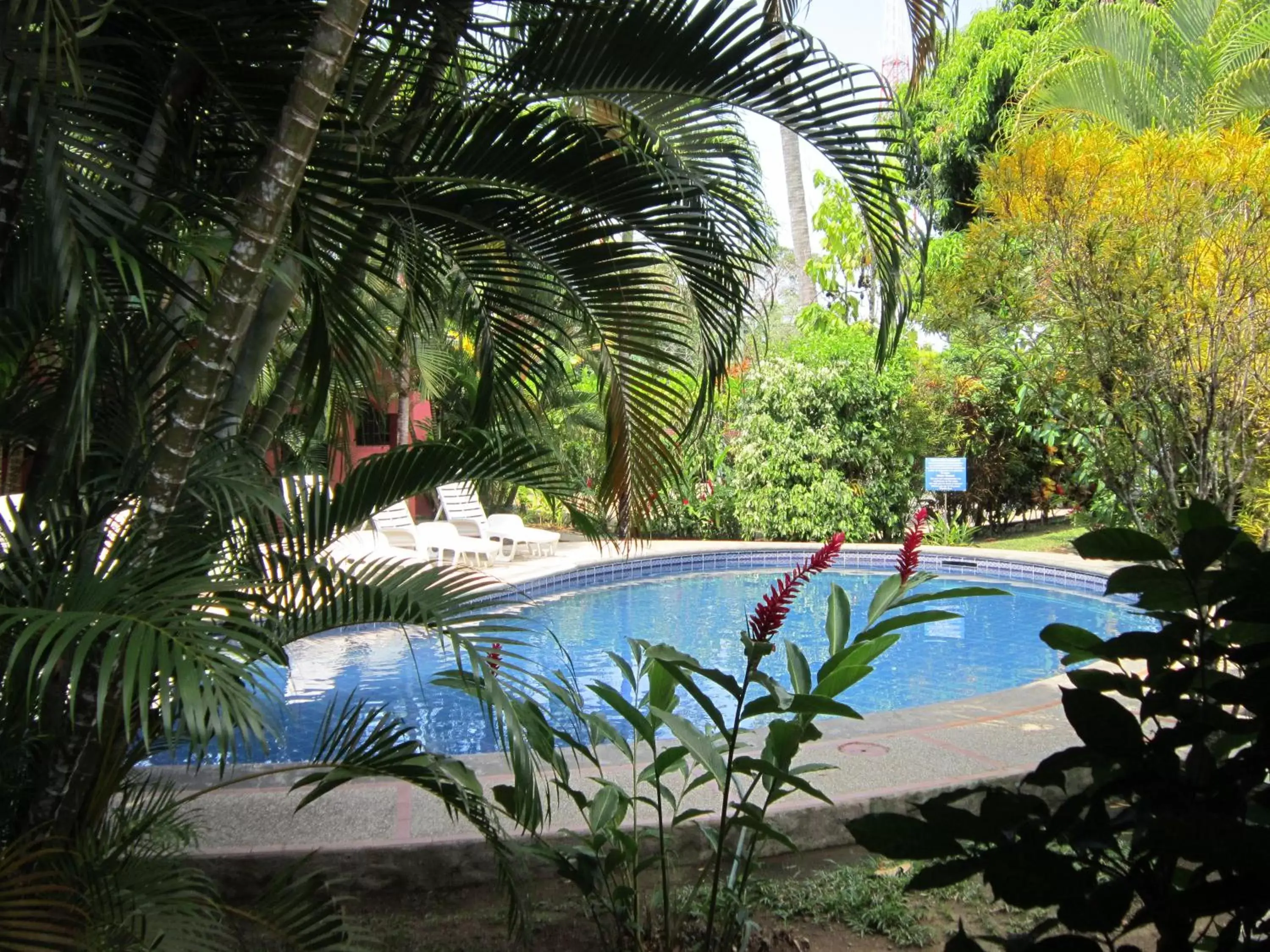 Garden, Swimming Pool in Hotel El Paraiso Escondido - Costa Rica