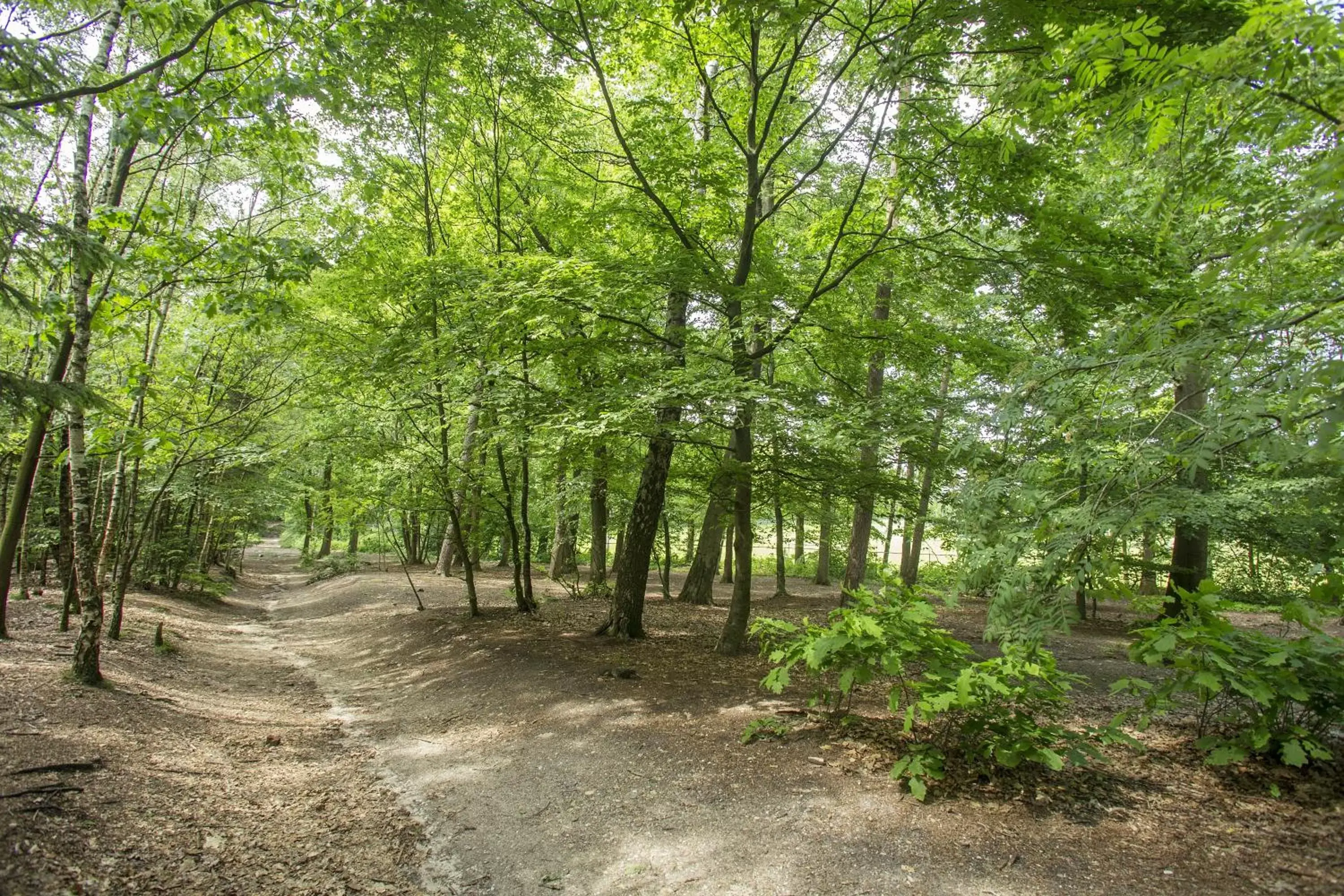 Natural landscape in Hotel De Bilderberg