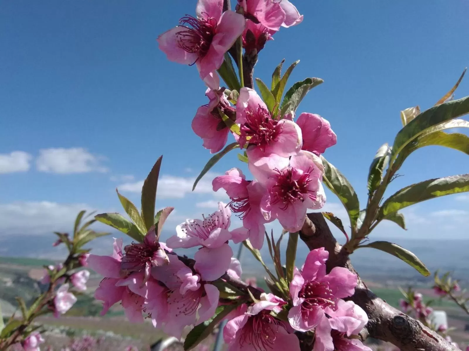 Nearby landmark in Beit Shalom Historical boutique Hotel