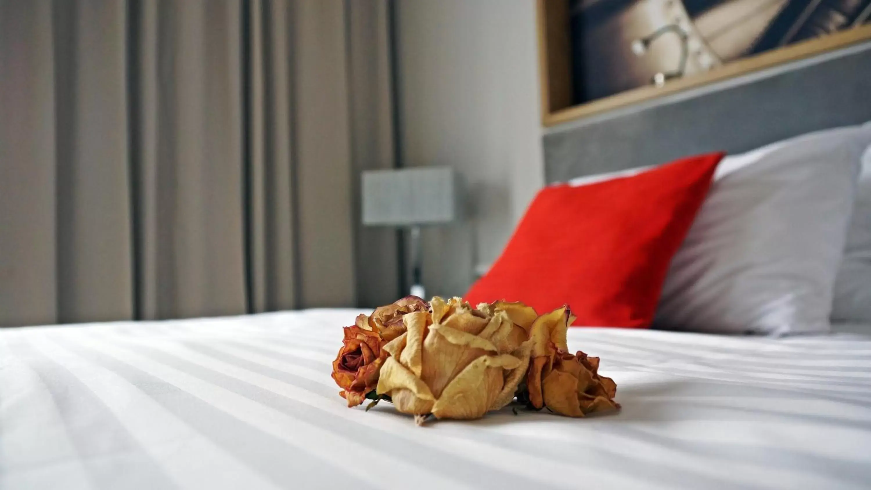 Photo of the whole room, Bed in Hotel Forza Photo of the whole room, Bed in Hotel Forza