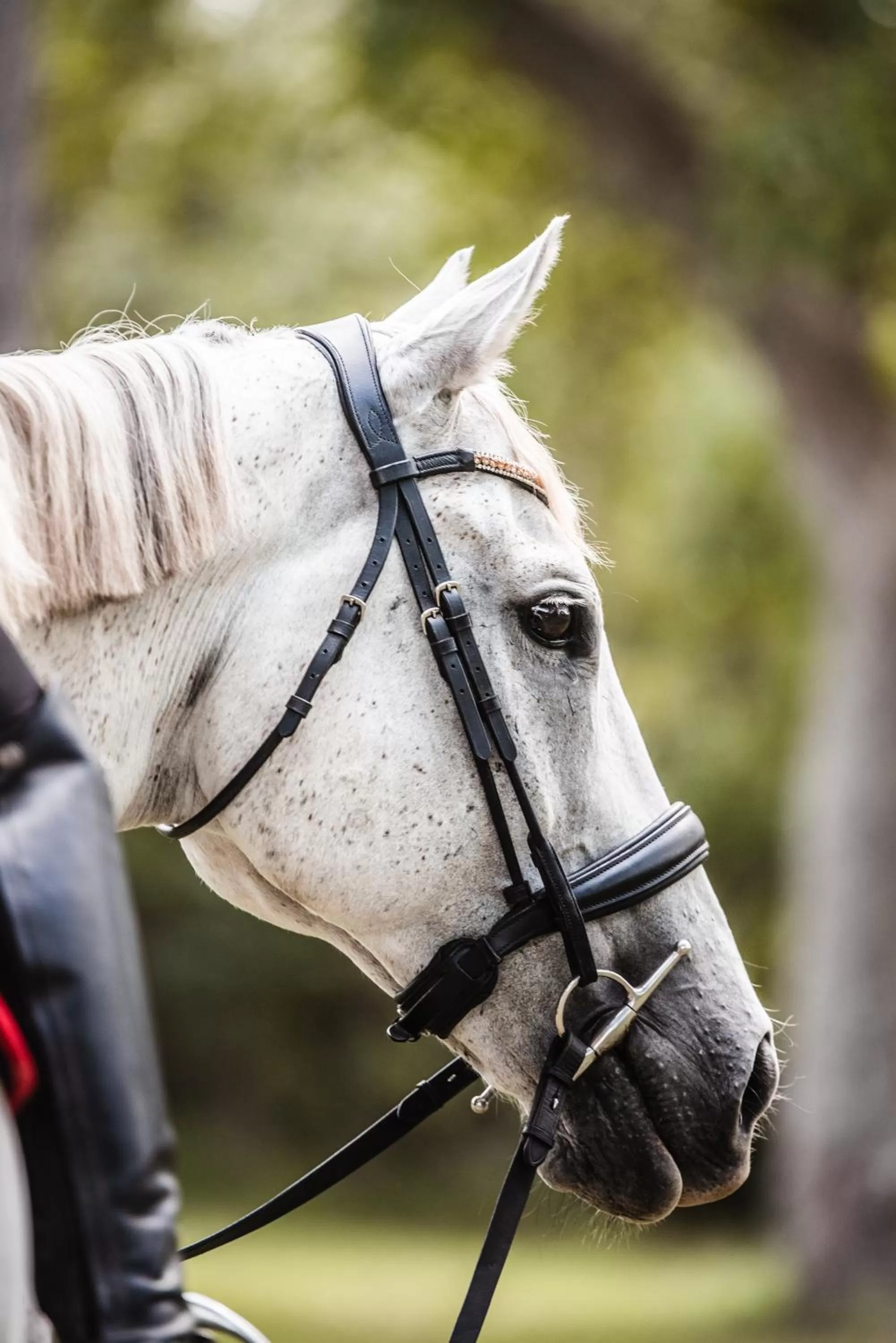 Lake Weyba Cottages Noosa