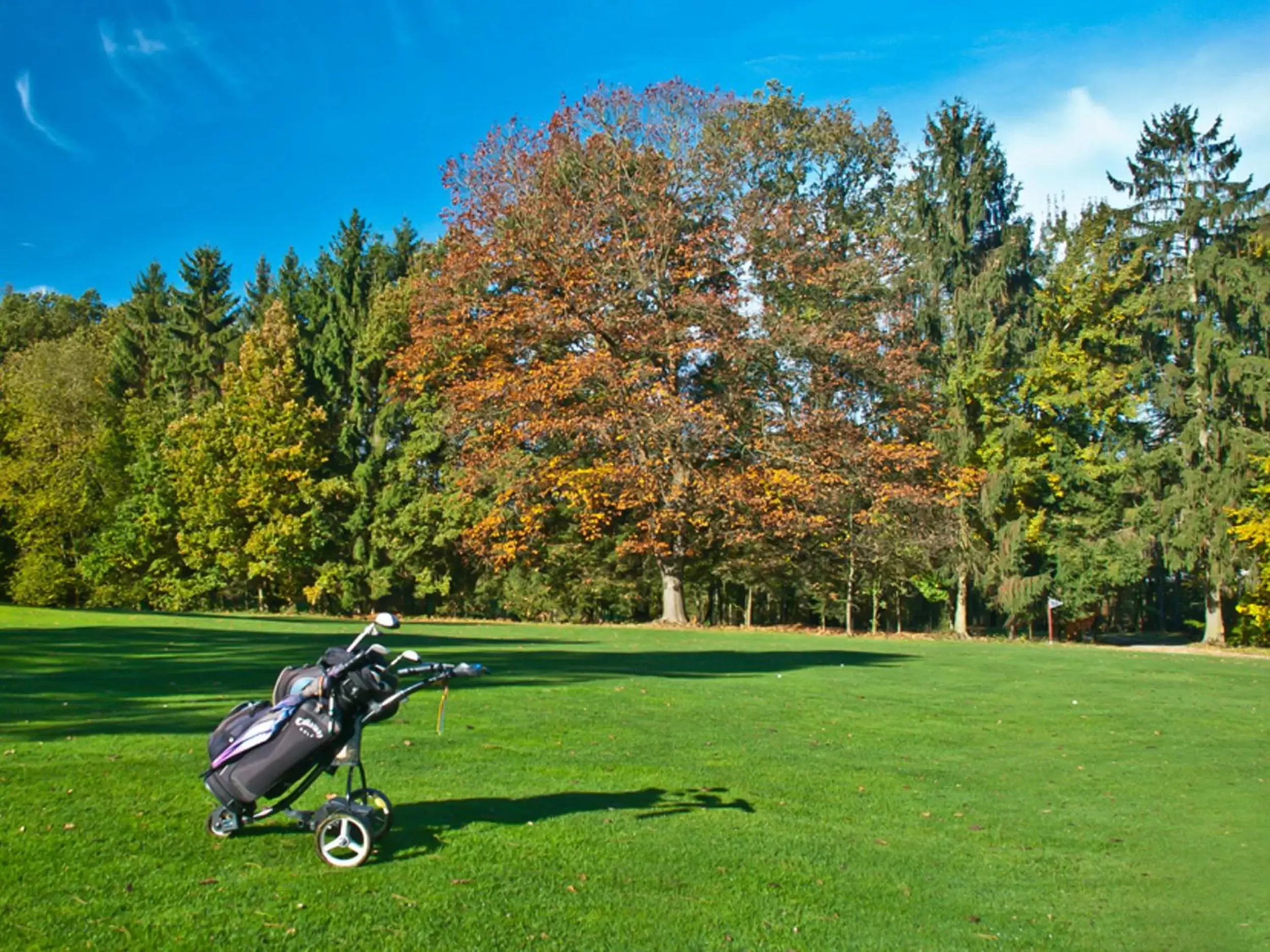 Area and facilities in IDINGSHOF Hotel & Restaurant