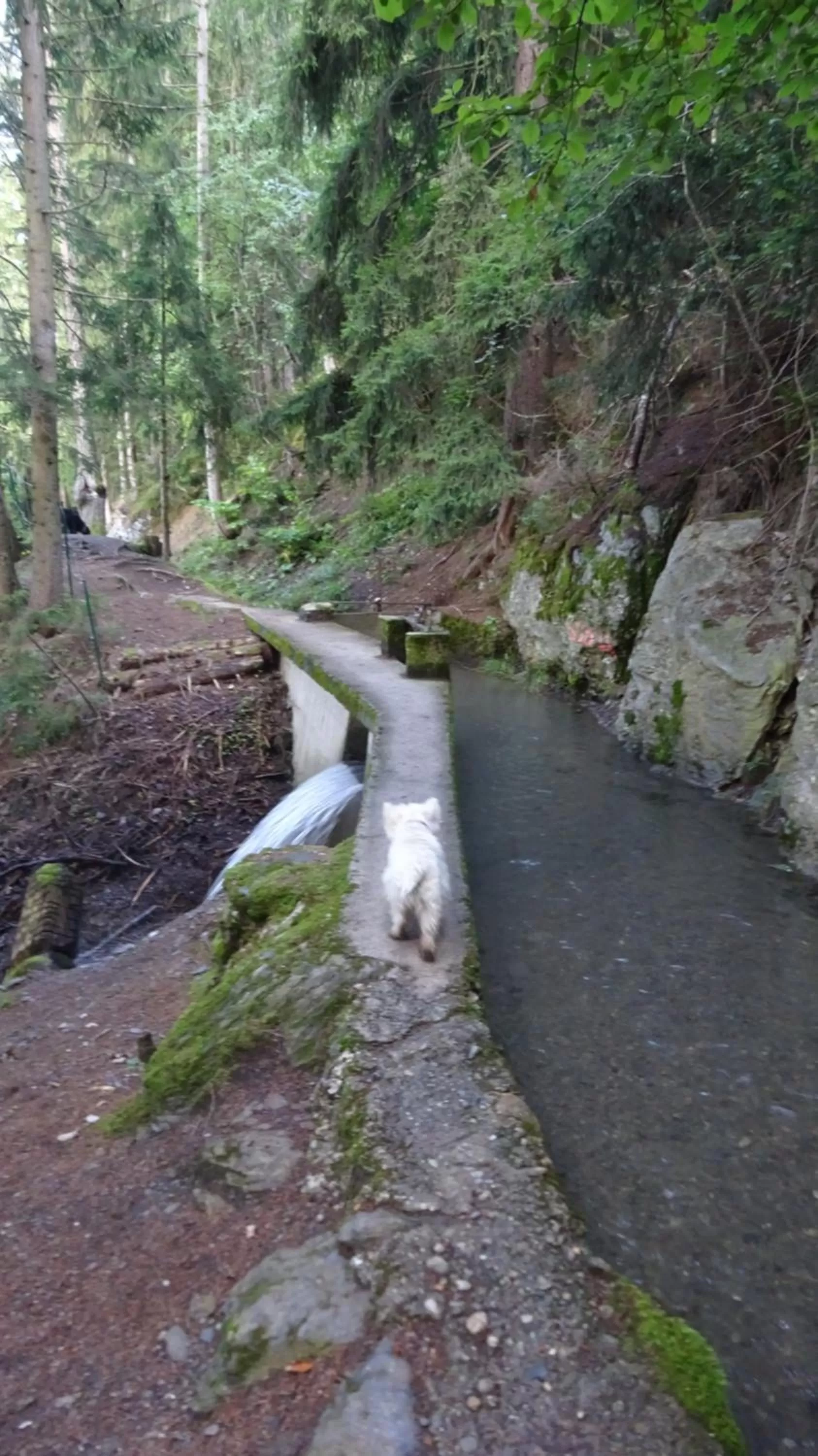 Hiking in la grange à Caroline