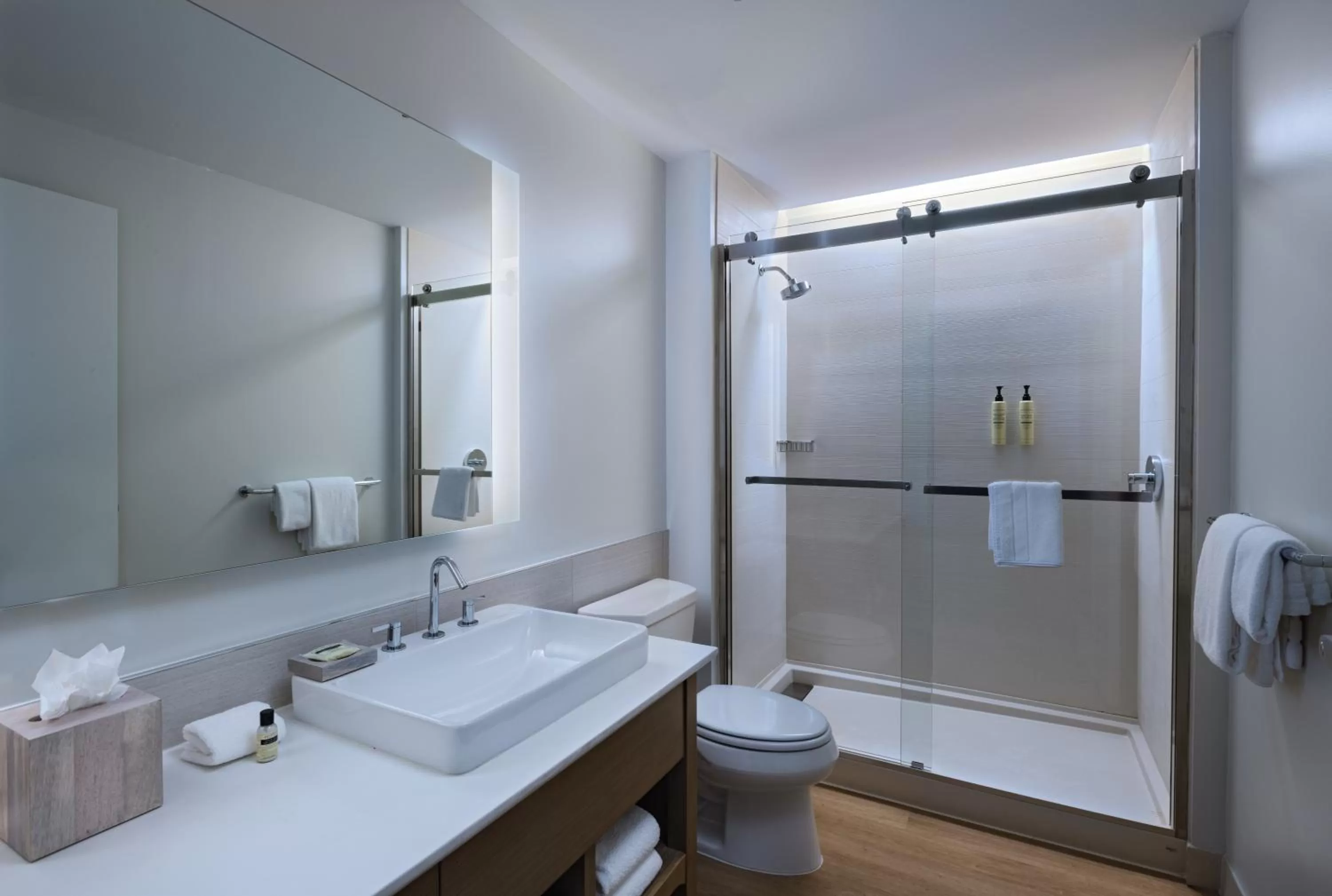 Shower in Element Dallas Las Colinas